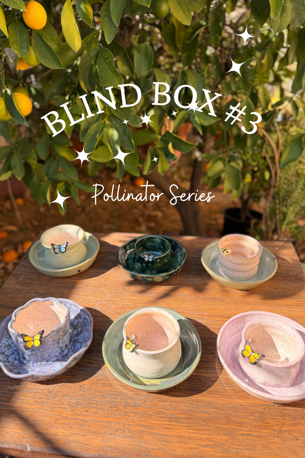 BLIND BOX #3 Pollinator Series