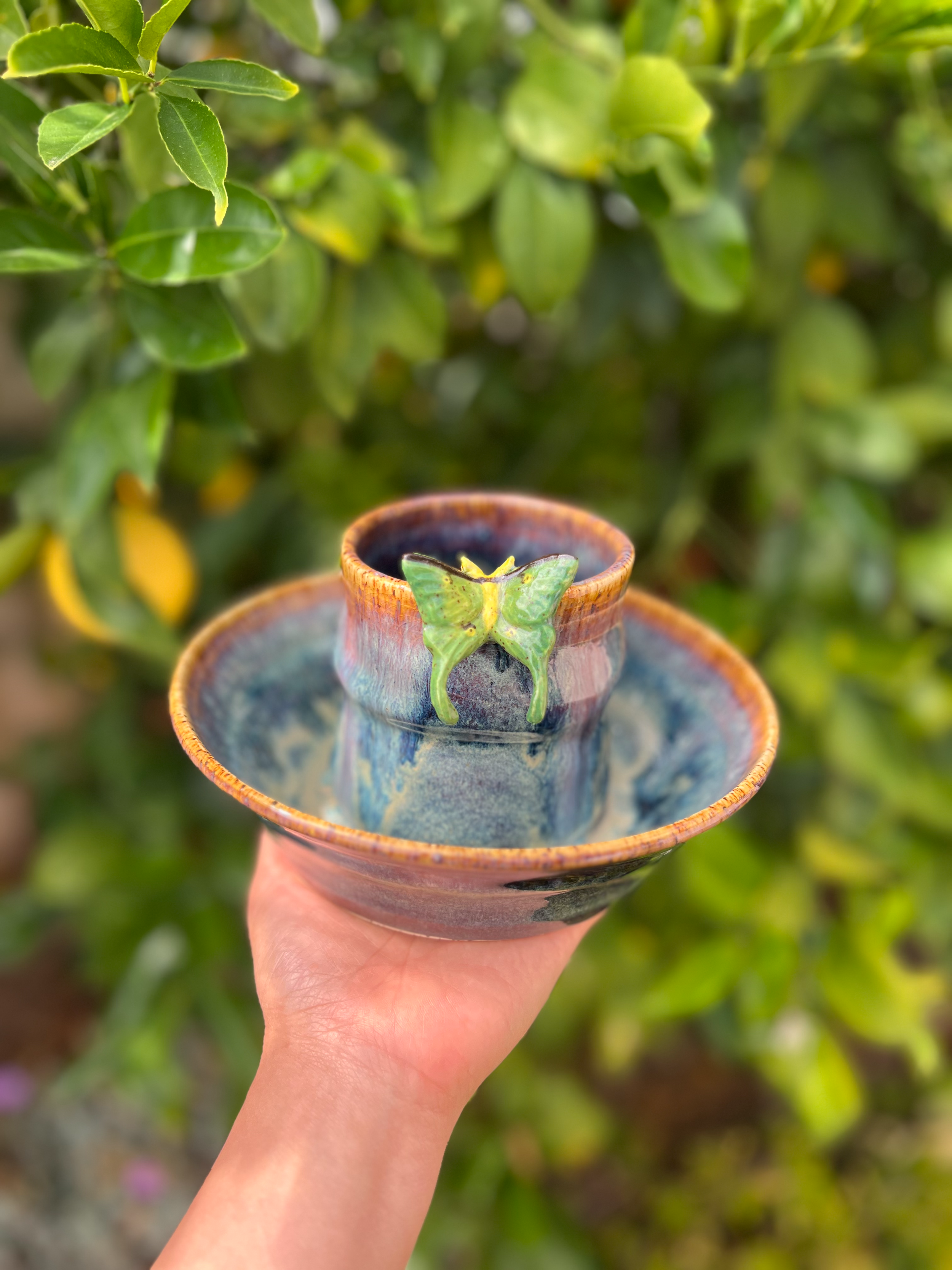 Aurora C (Curvy, Luna moth)