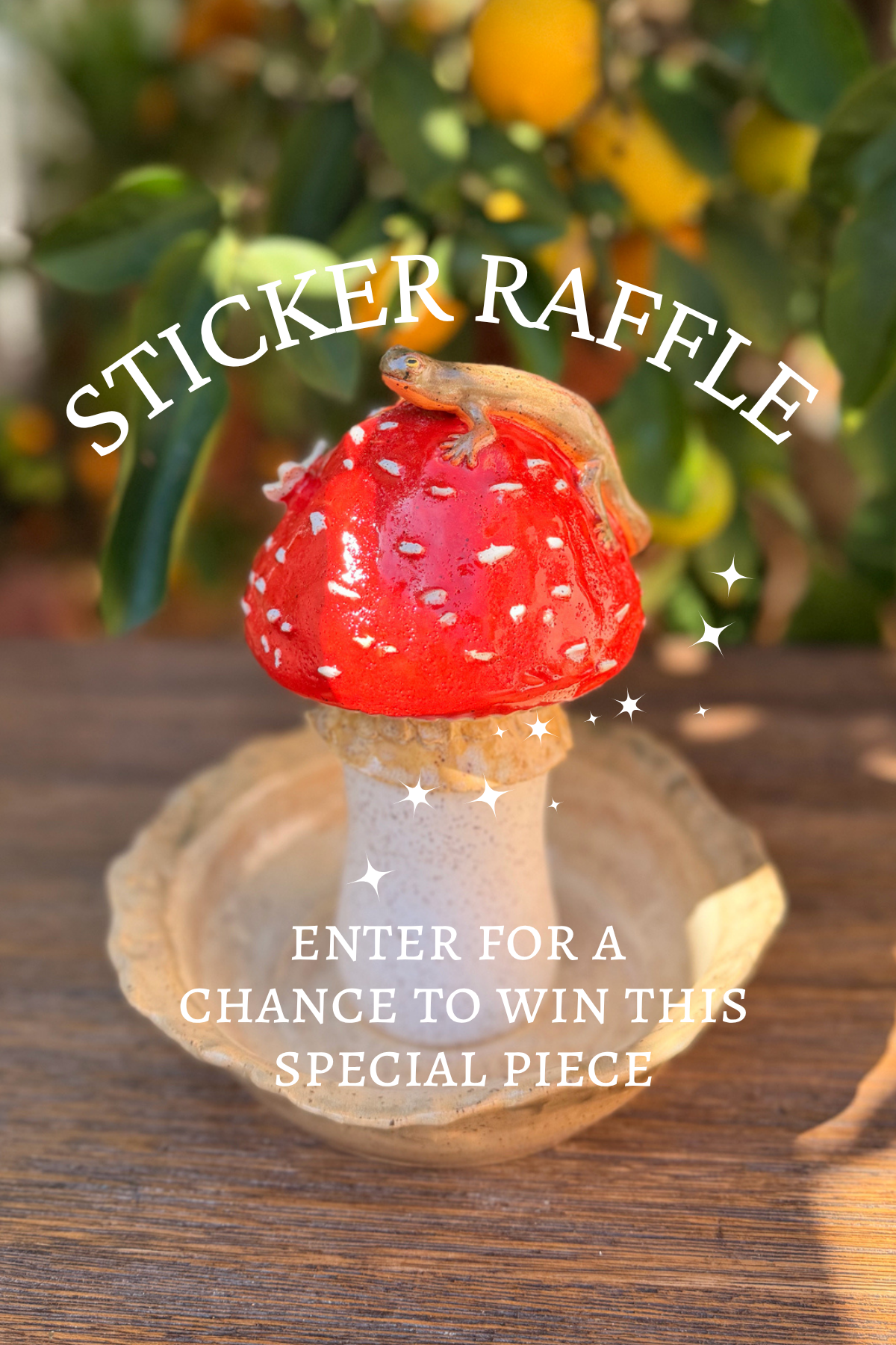 ✦ Sticker Raffle ✦