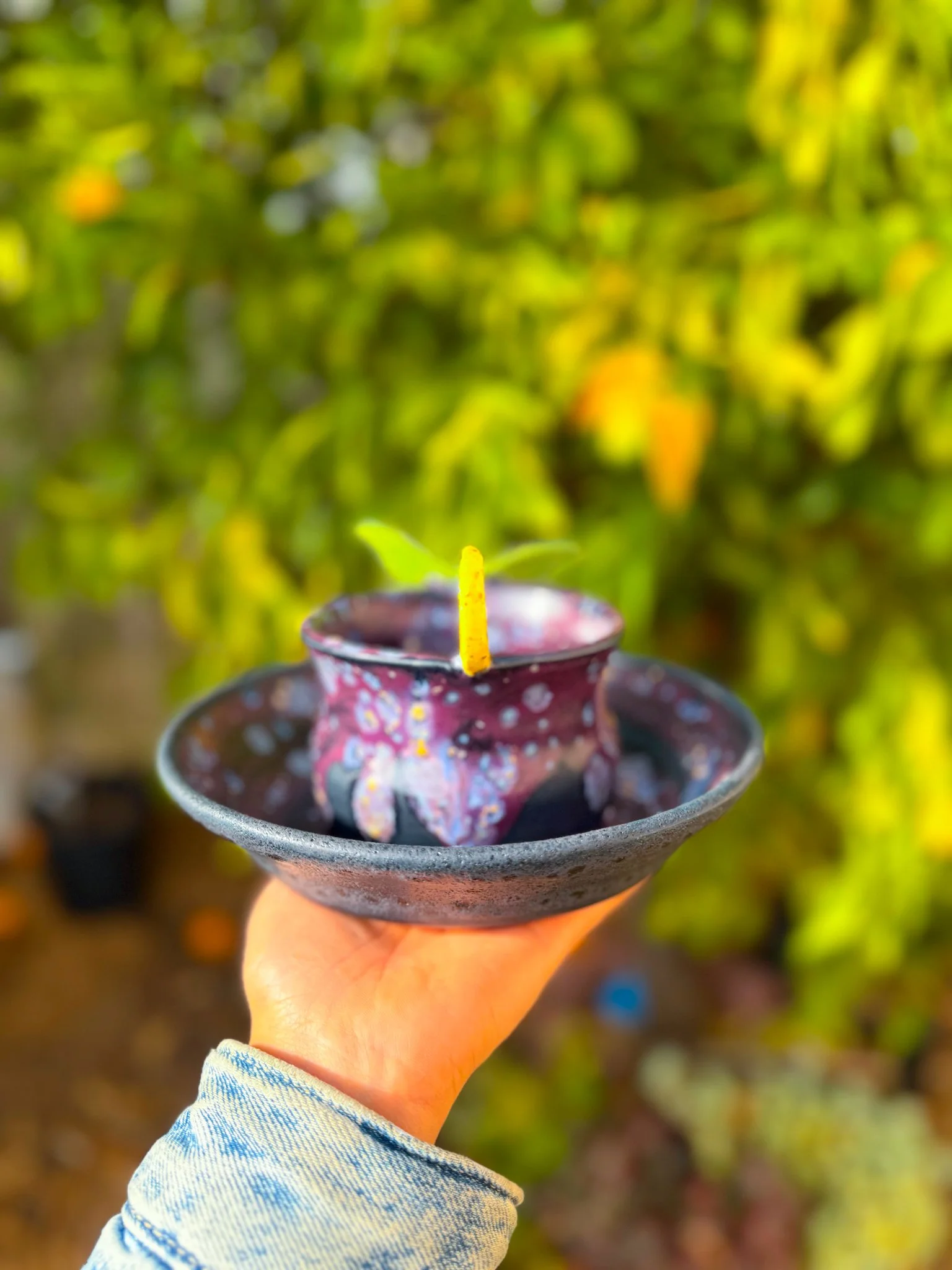 twilight-133.jpg