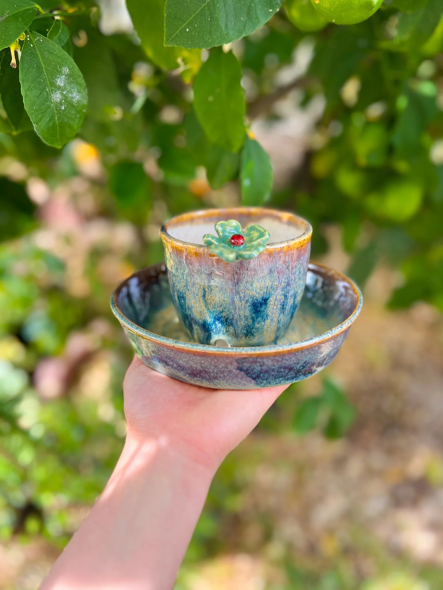 Aurora F  (Round, ladybug on clover)