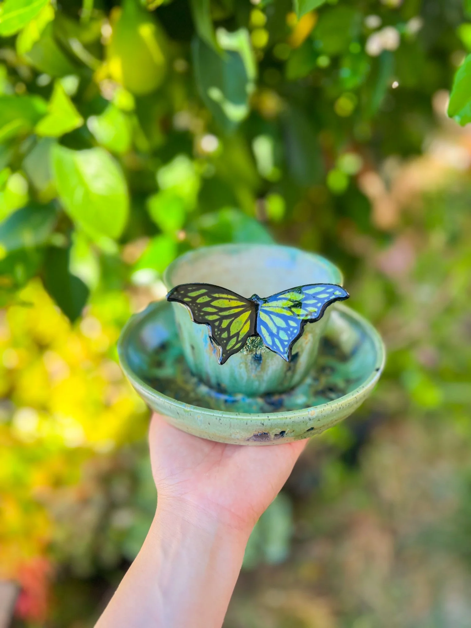 Everglade I (Round, monarch)