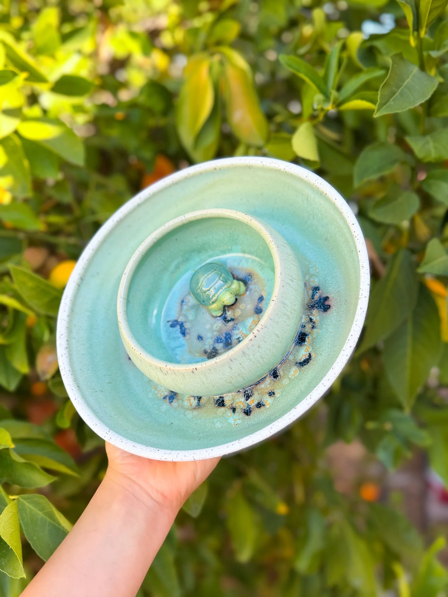 Turtle Reverse Ping Pot "discounted"