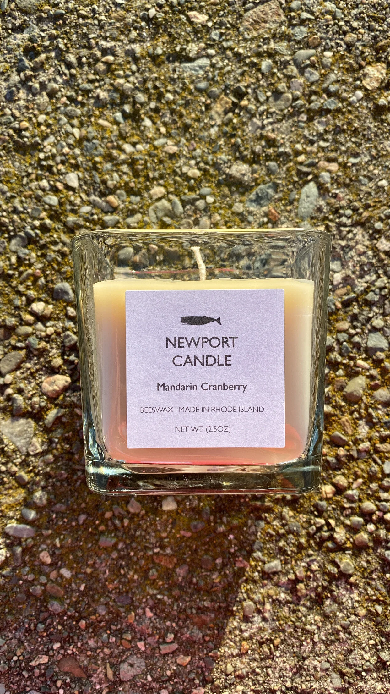 1BB65FCB-A931-4C17-A76E-6E27AF57897C