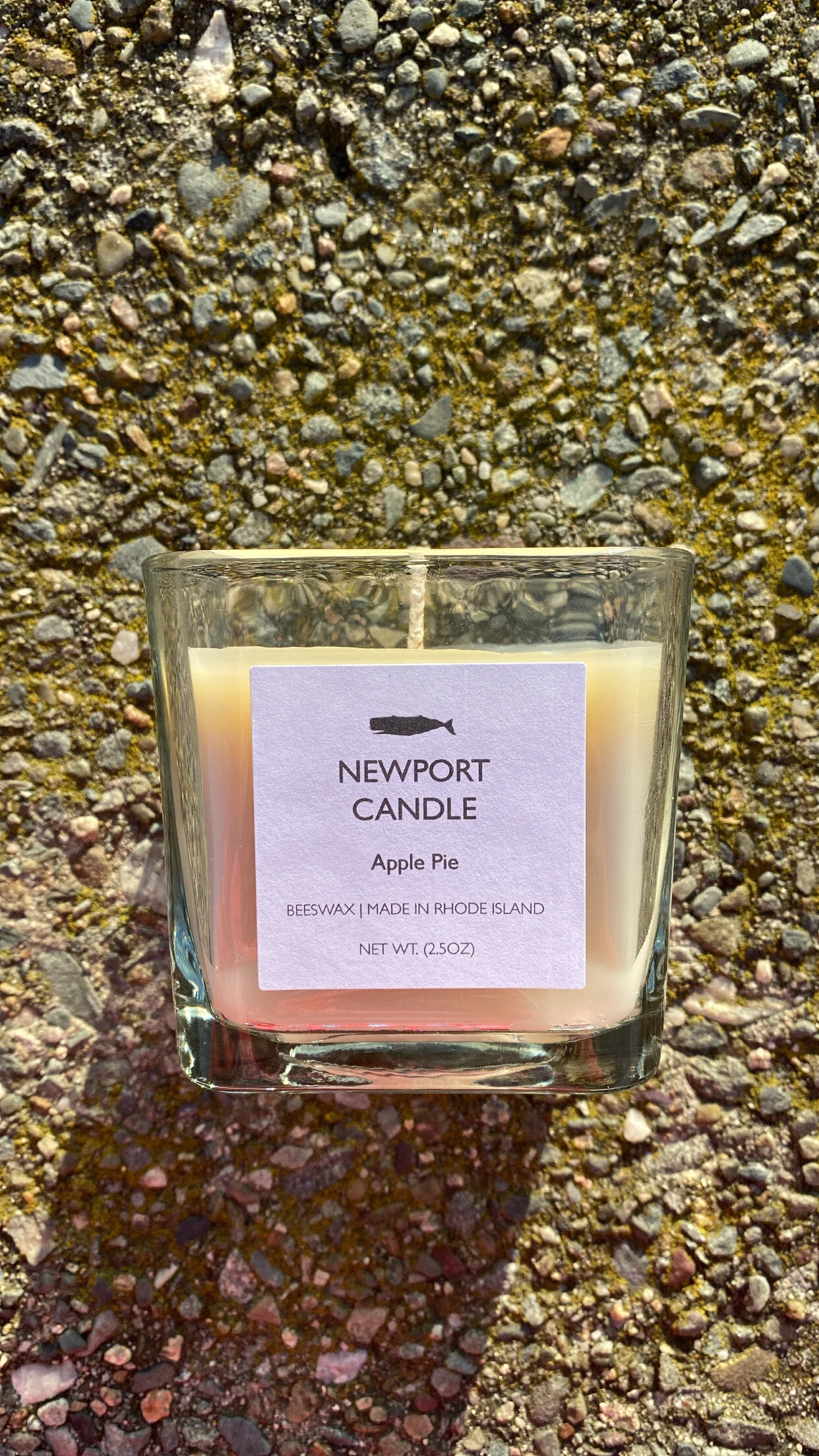 92D656D5-556E-4C36-926E-F12071AAA6A4