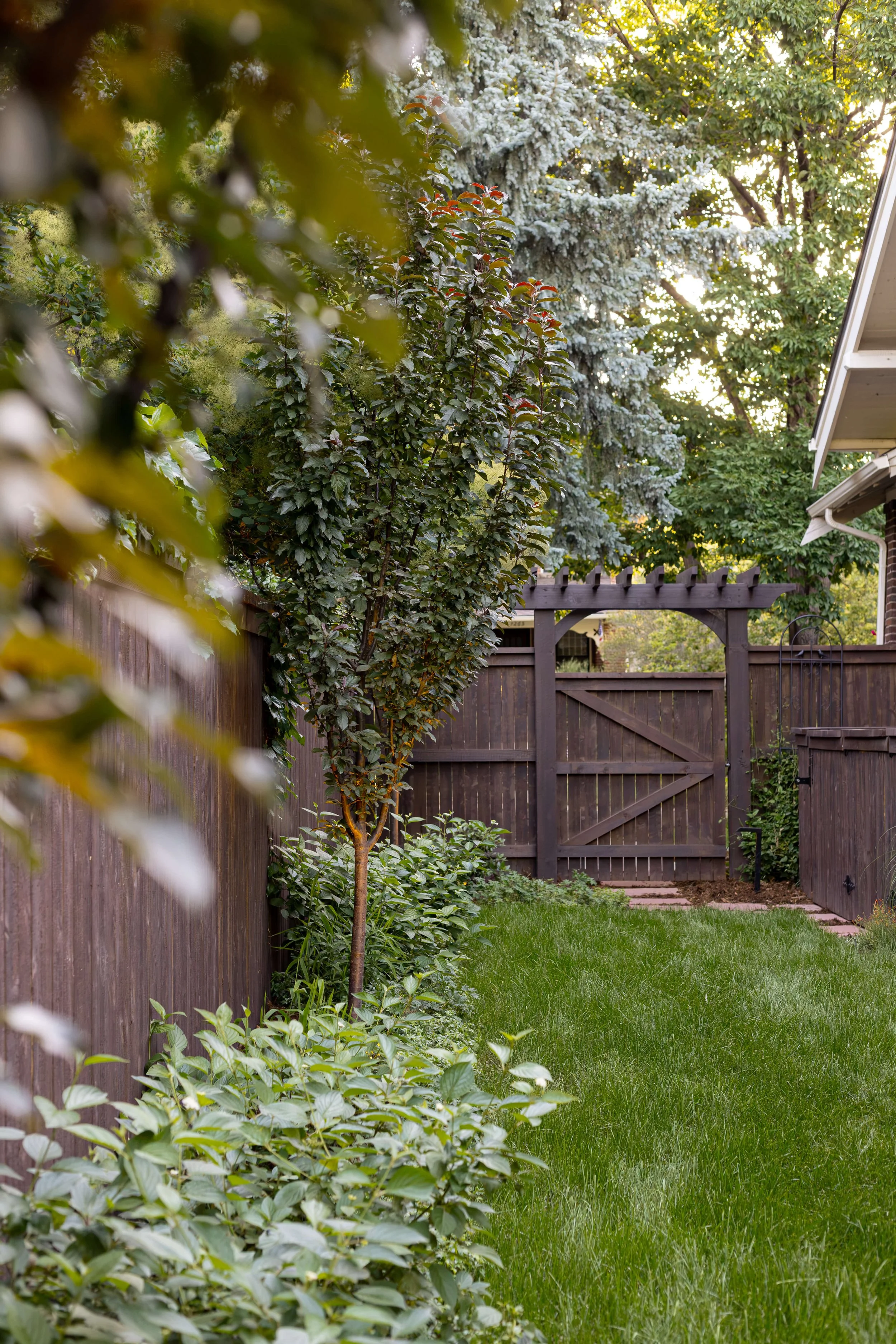 CDB-ISD_KaitlinsLens_AbergerProperty-7.jpg