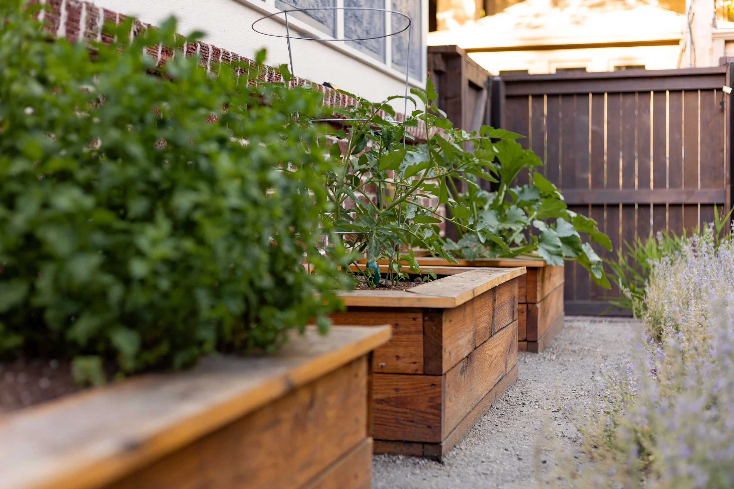 CDB-ISD_KaitlinsLens_AbergerProperty-4.jpg