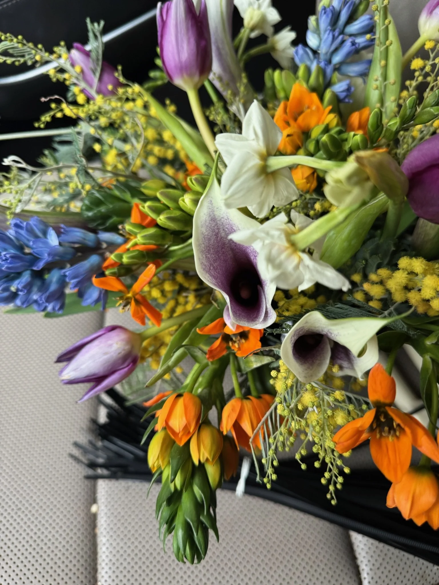 IMG_1736.JPG
