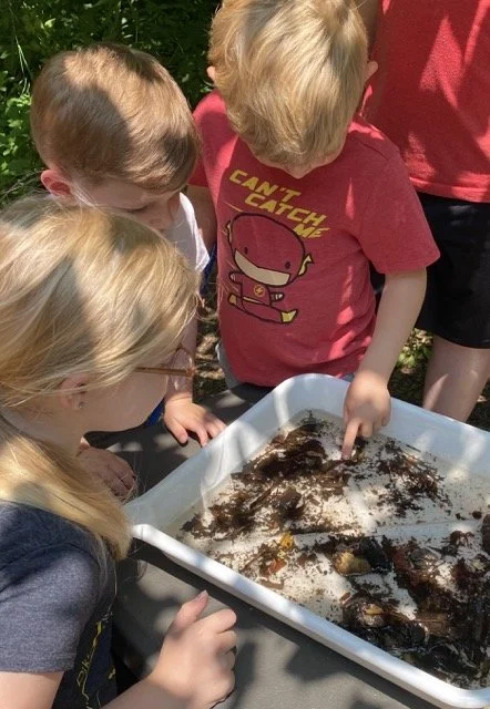 IMG_5723 Medium.jpeg