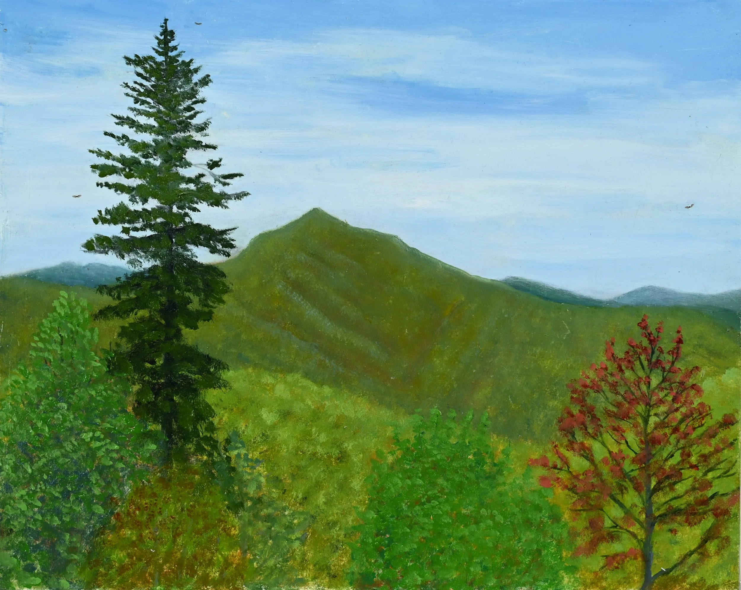 2024-Cold Mountain.jpg