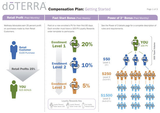  Click to view compensation plan document 