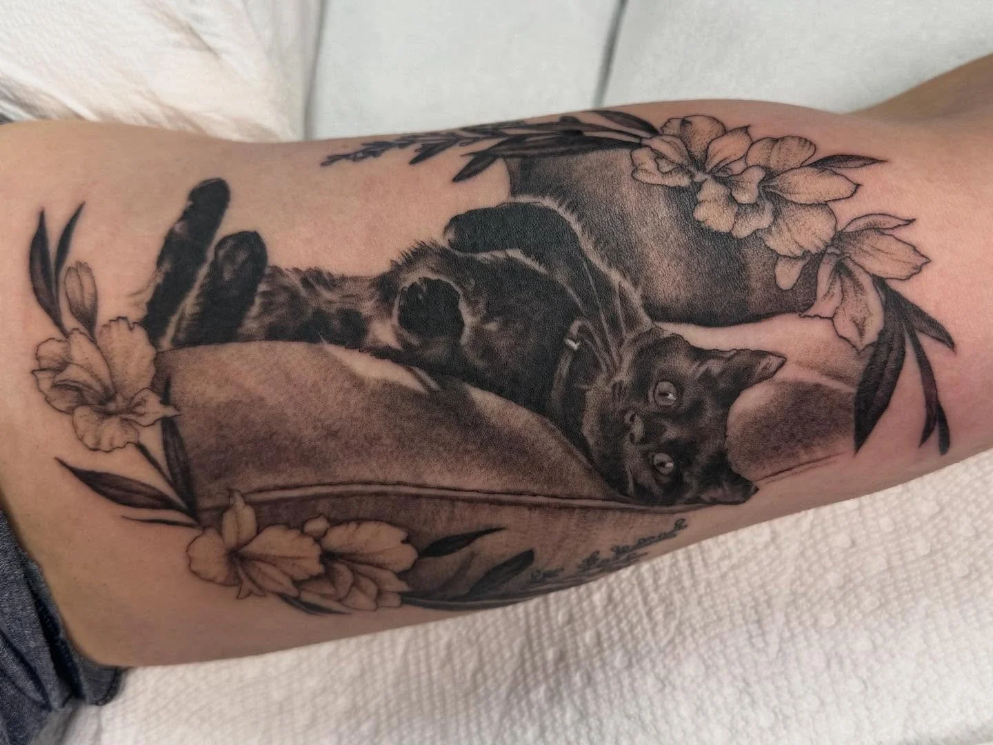 A memorial cat tattoo for Marissa 🙏@mtrone37 thanks for sitting so well for your first tattoo🙏