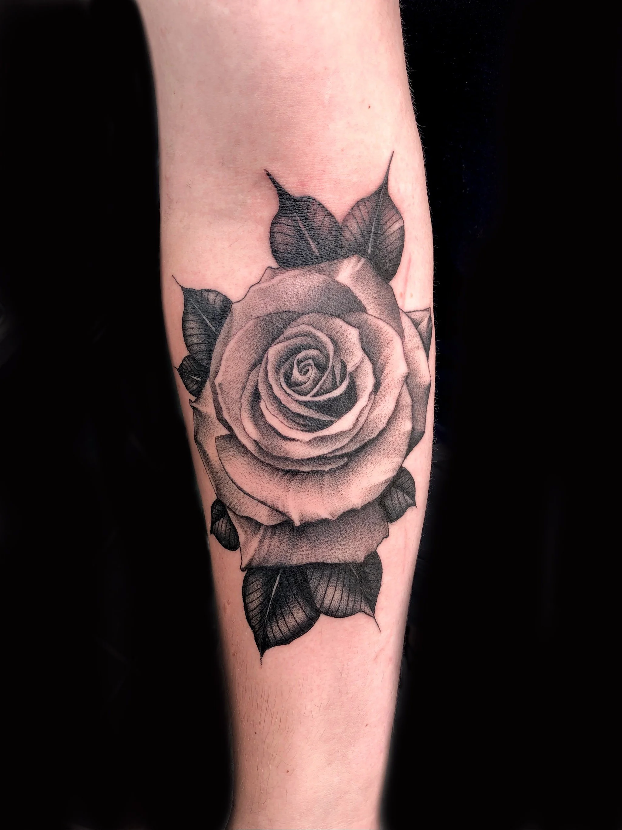 Untitled_Artwork 5.jpeg