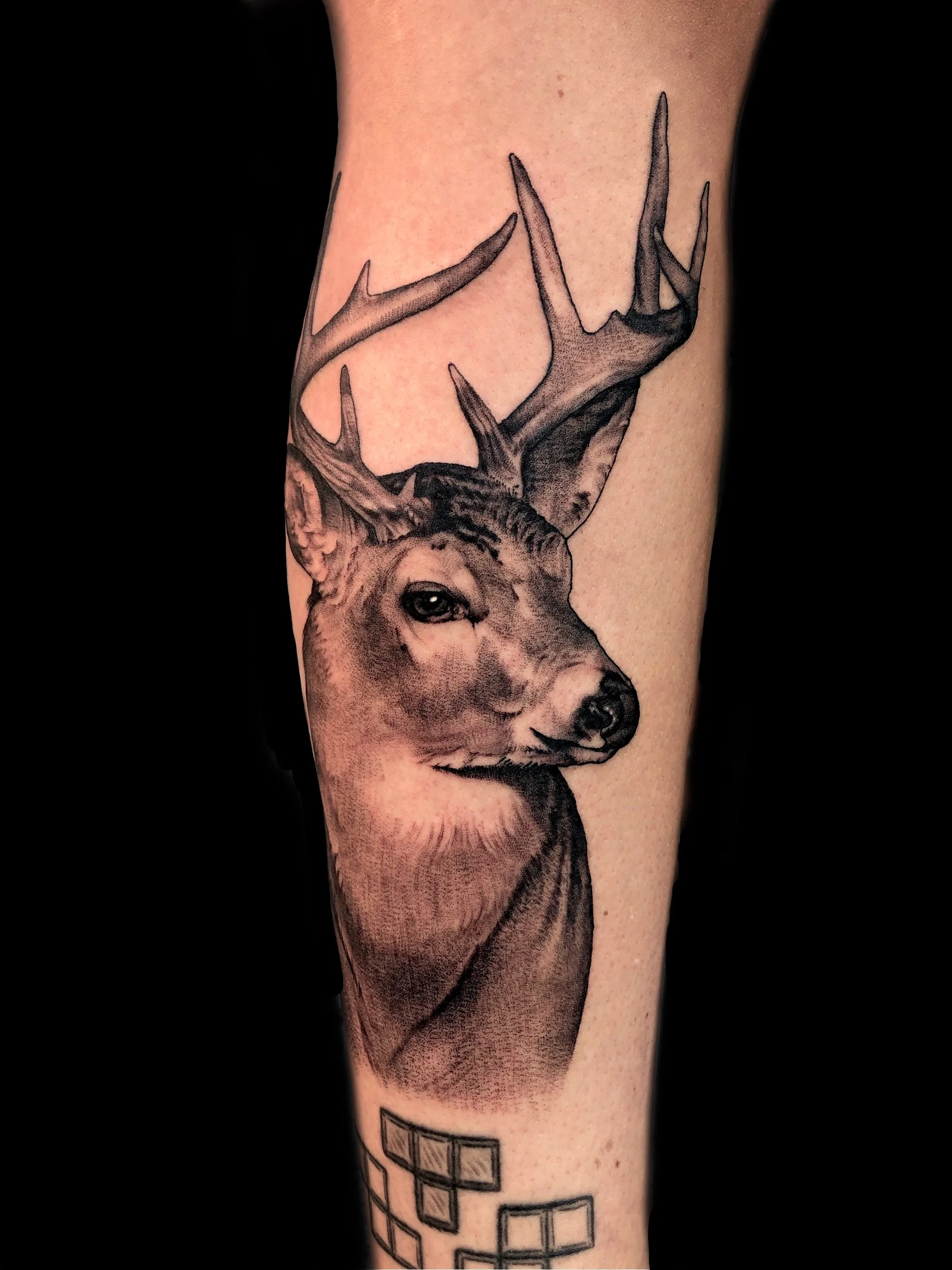 Untitled_Artwork 3.jpeg