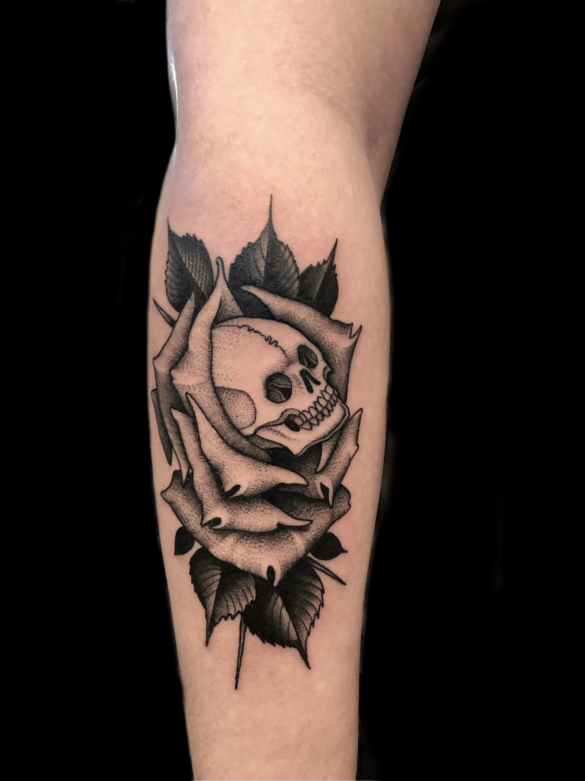 Untitled_Artwork 2.jpeg