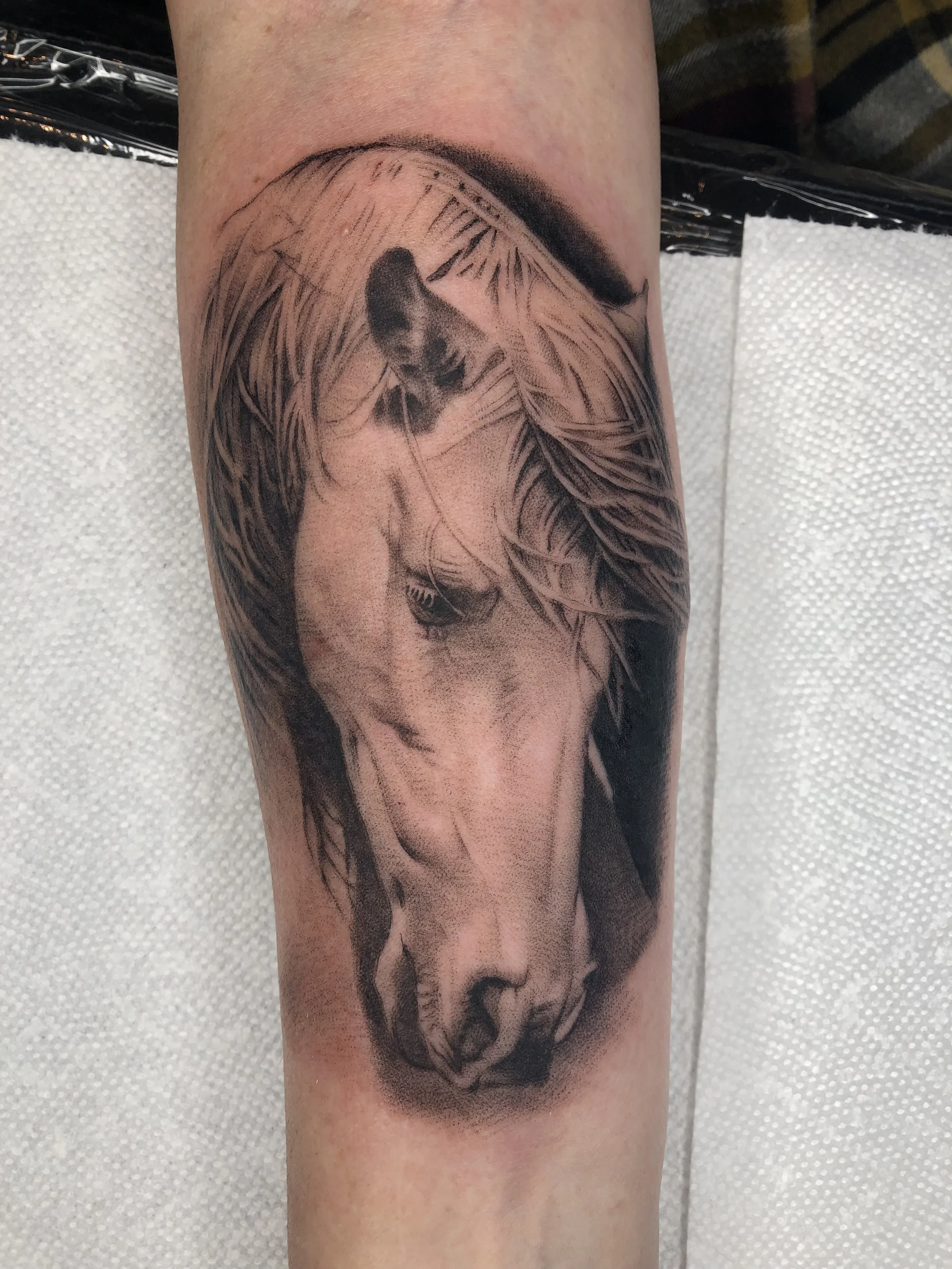 Black and gray tattoo of a horse's head on a person's arm, showing detailed shading and realistic features.