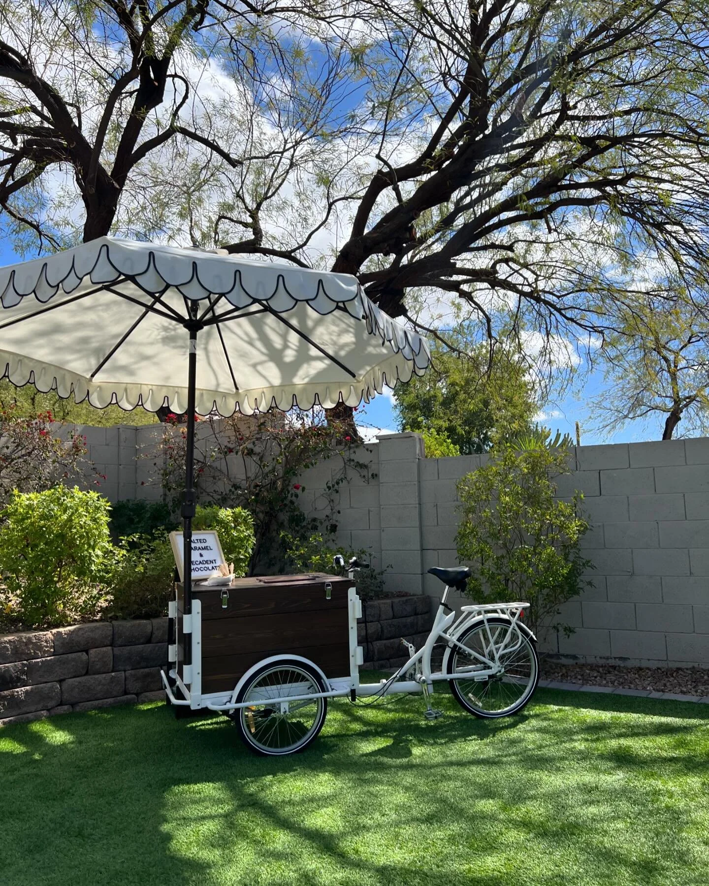 Chip having a moment before a super special baby shower 🎀 #icecreambikerentals #craftandpedal #sweettreats