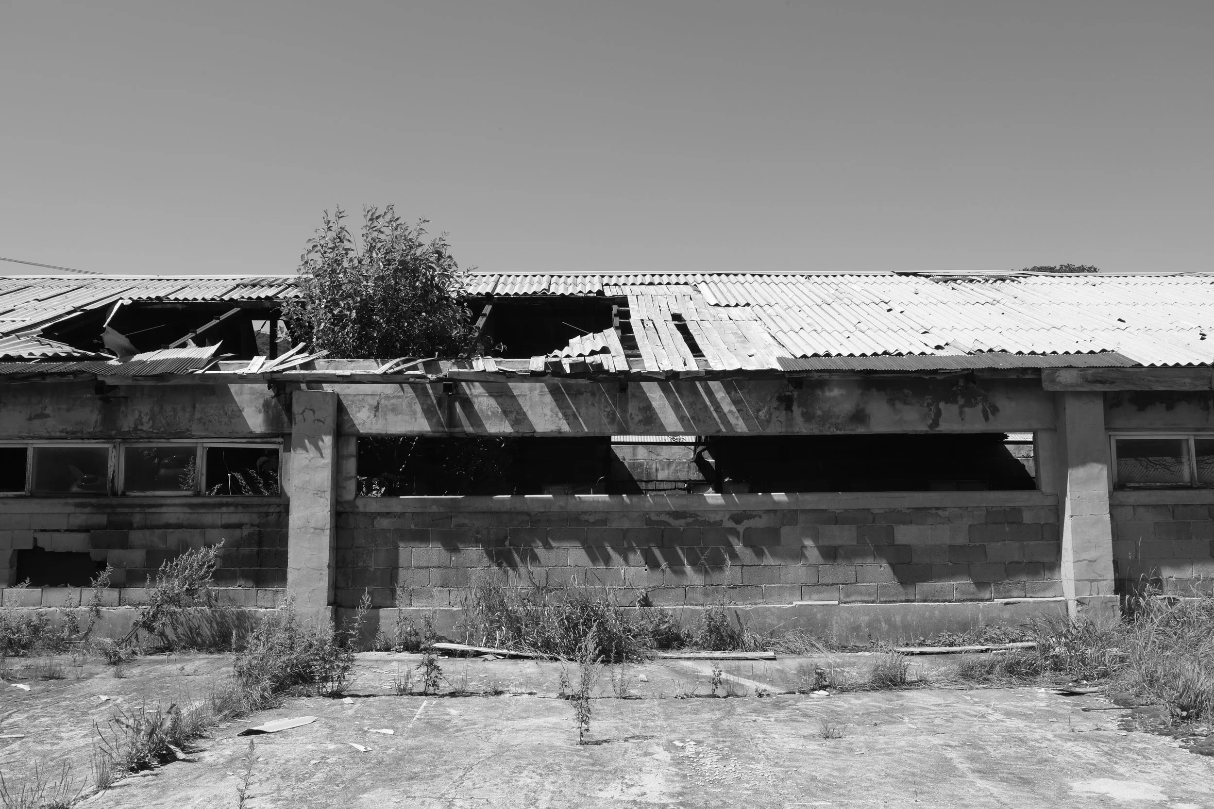 After 30 Years 06.JPG