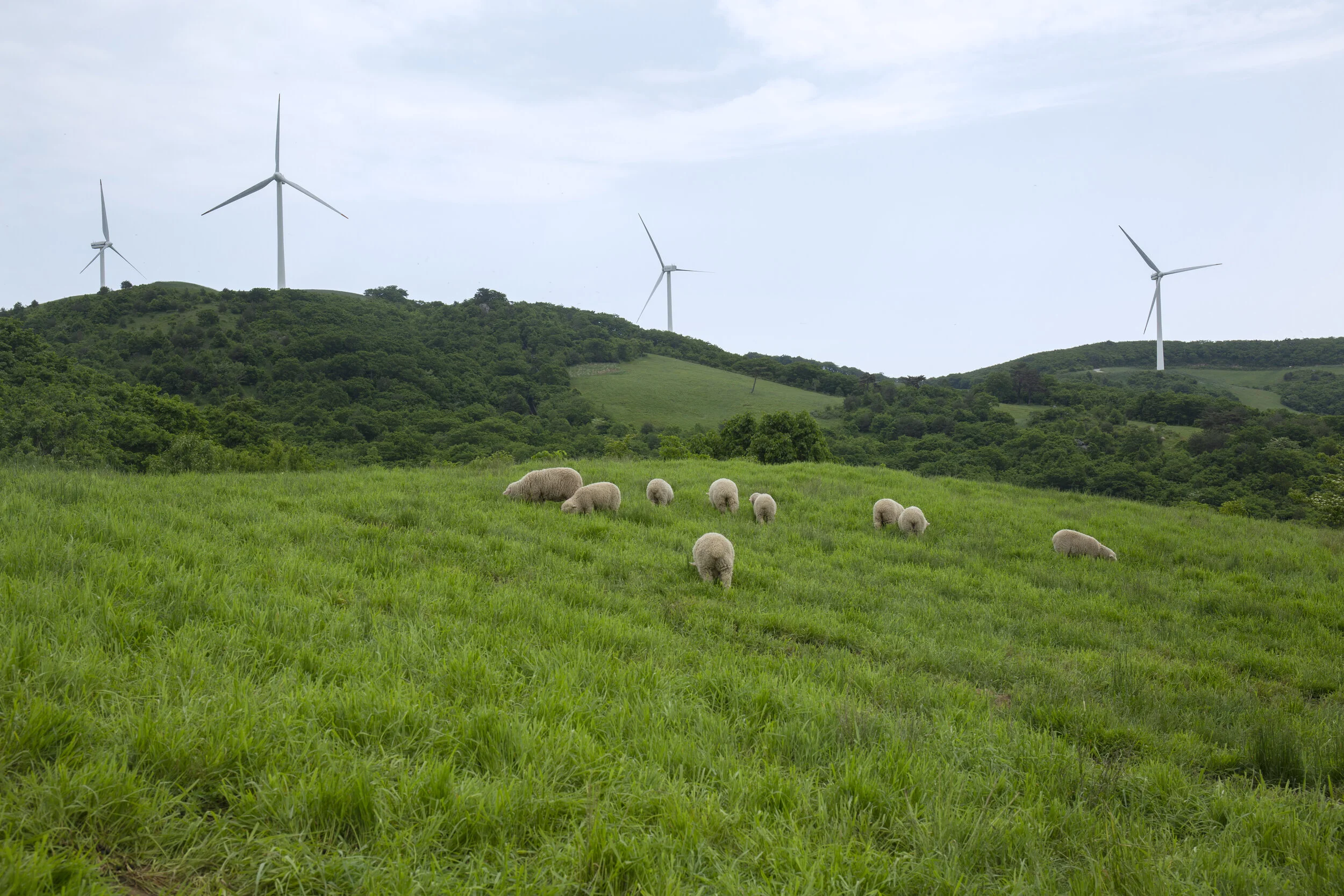 Mother Nature - Summer