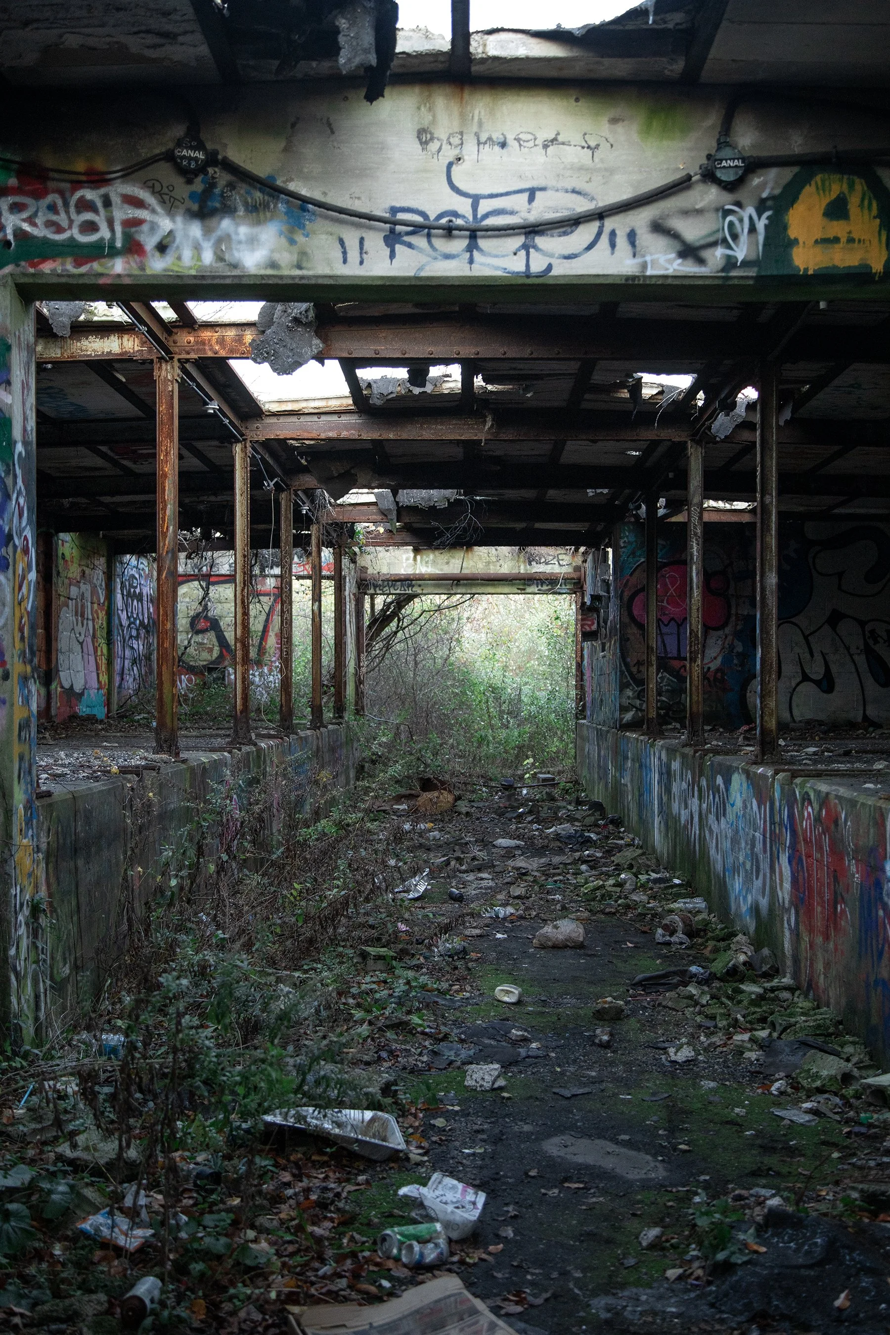 Ecological Succession