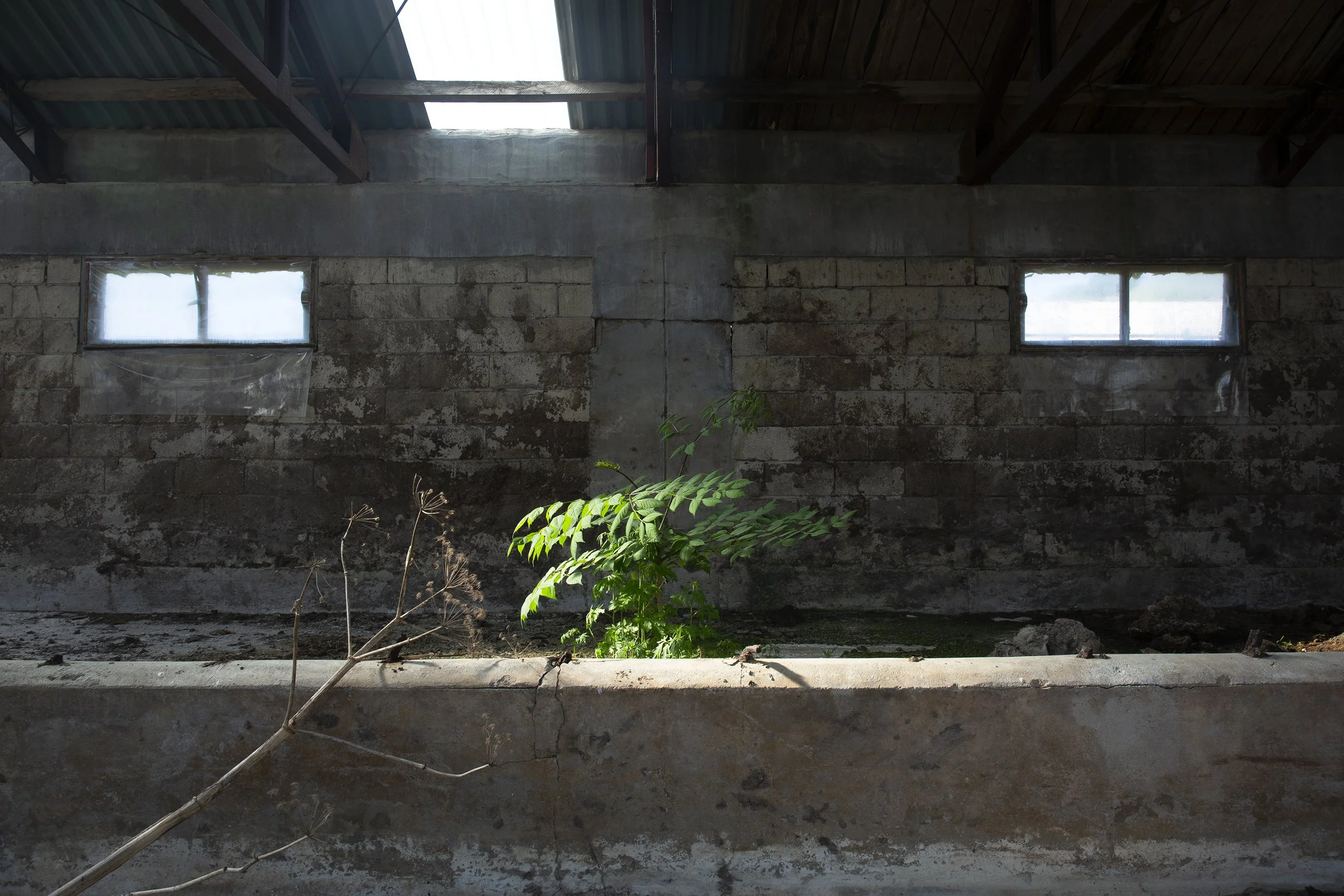 The Secret Garden_01.jpg