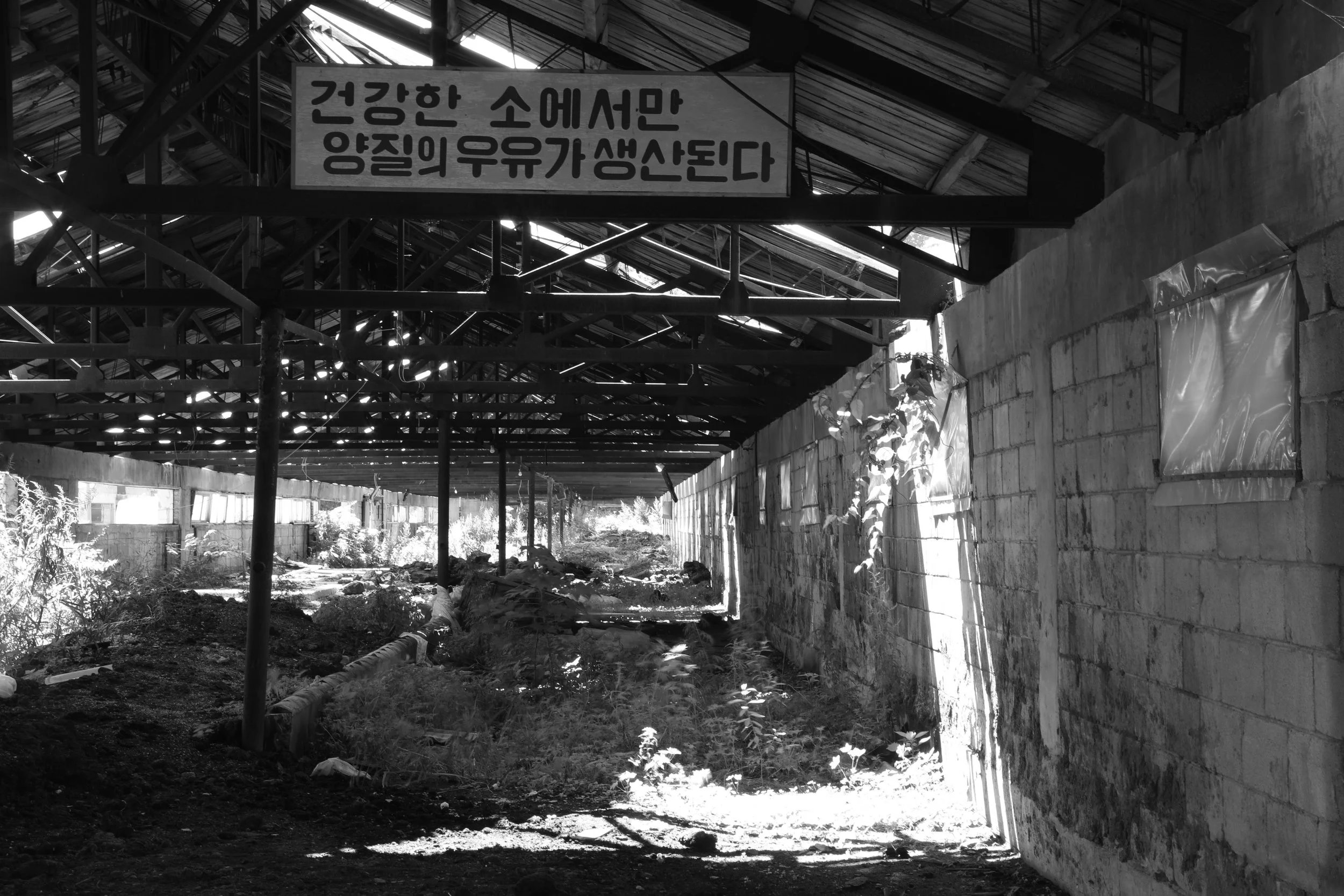 After 30 Years 05.JPG