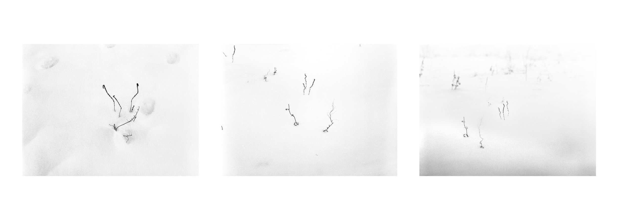 Mother Nature 01.jpg