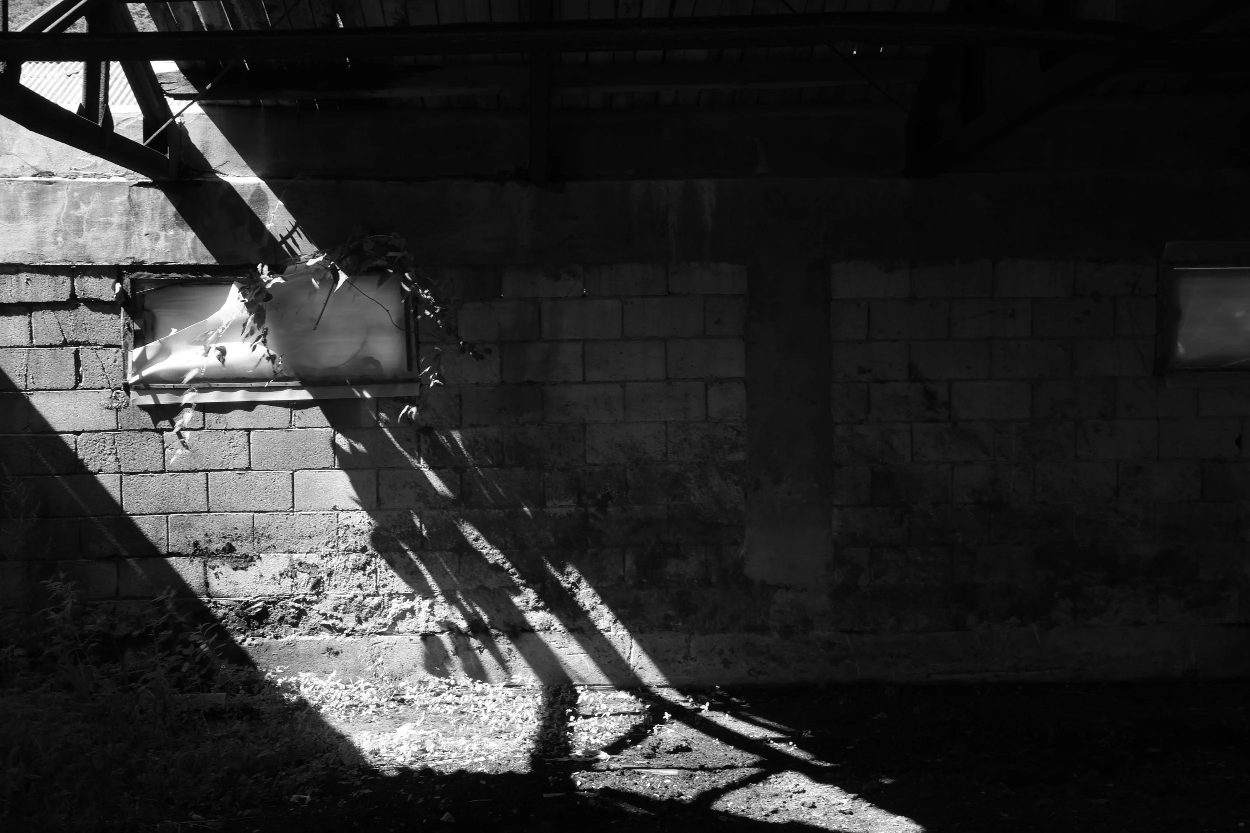 After 30 Years 03.JPG