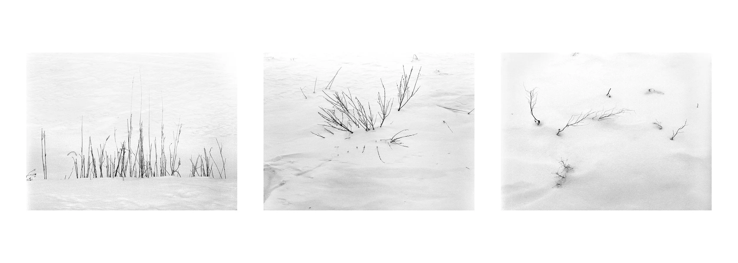 Mother Nature 02.jpg