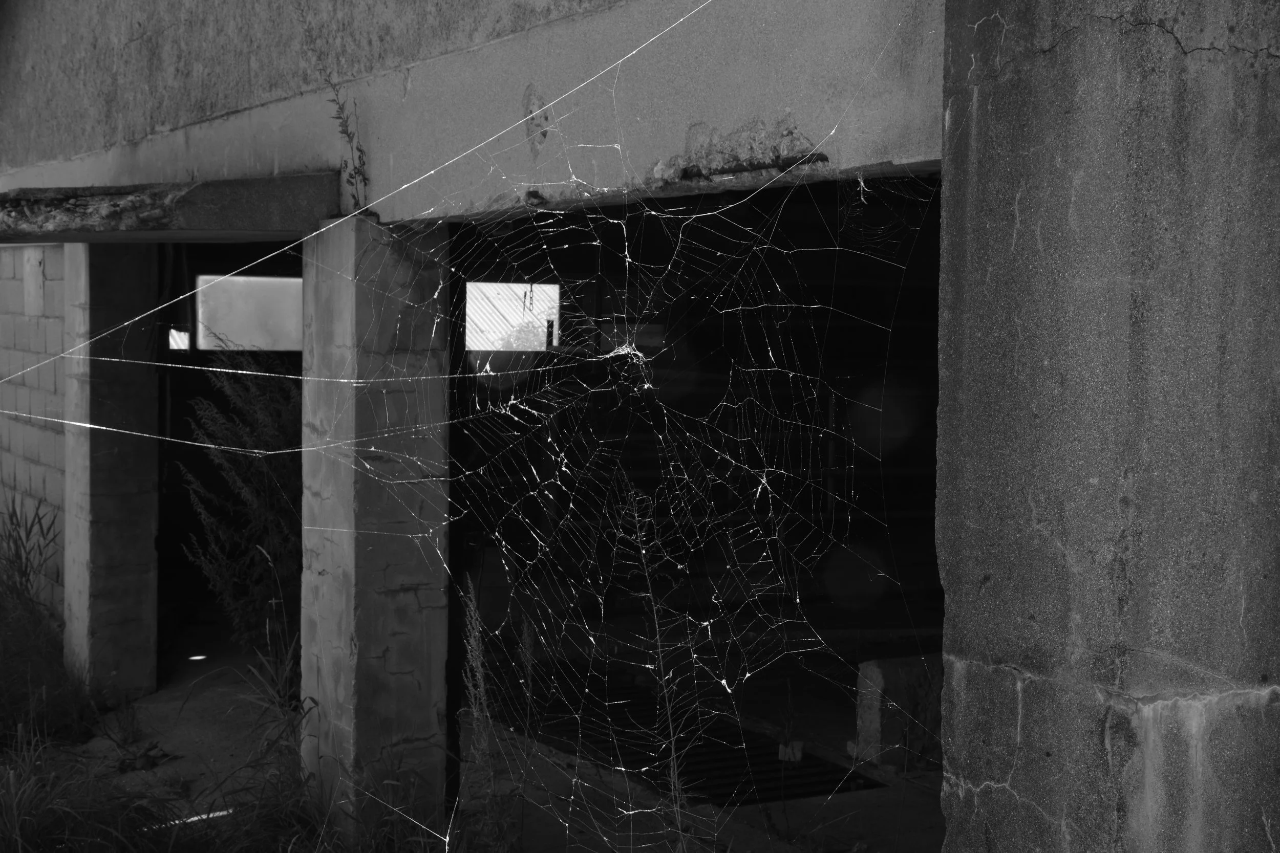 After 30 Years 04.JPG