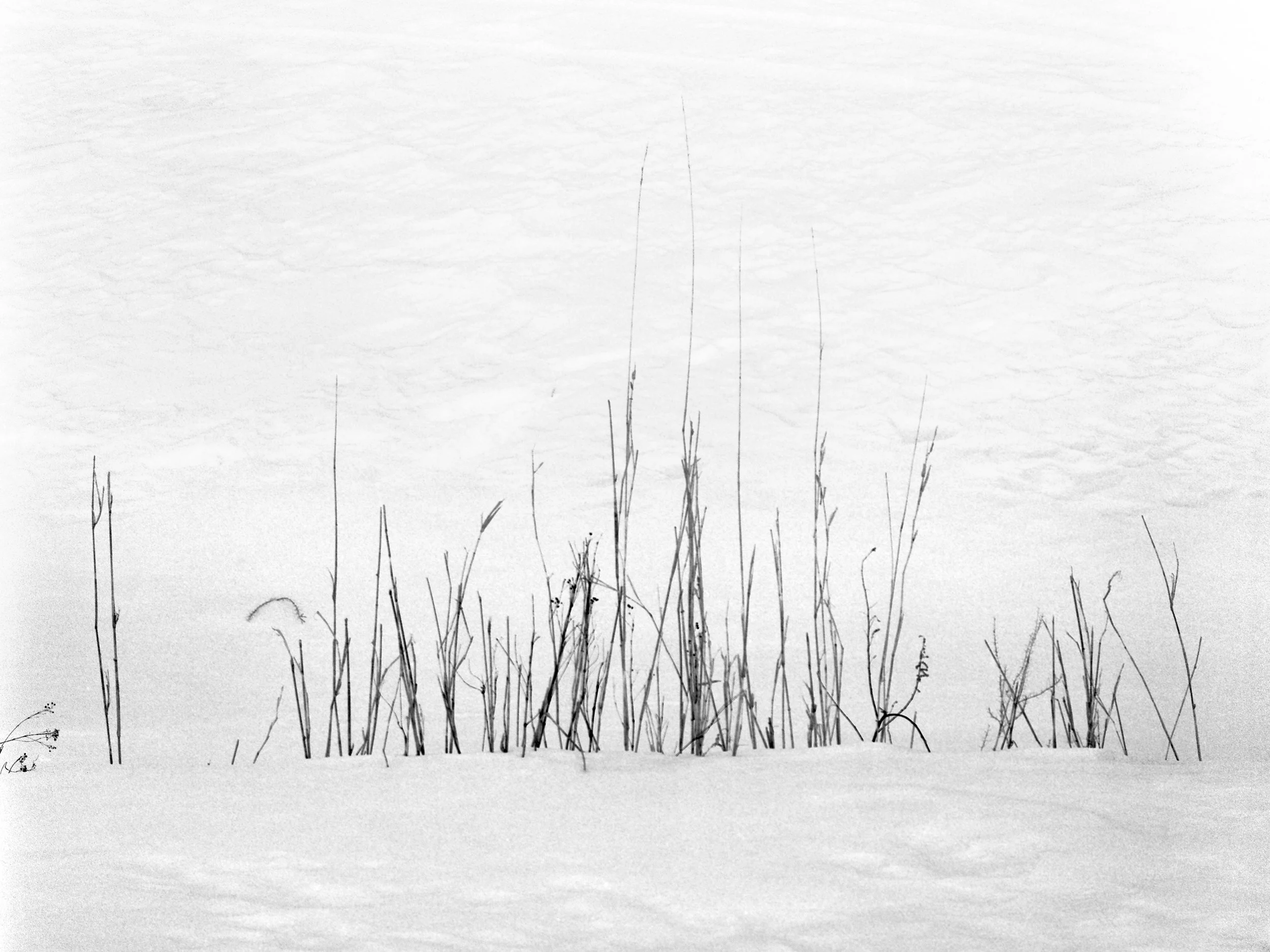 Mother Nature 06.jpg