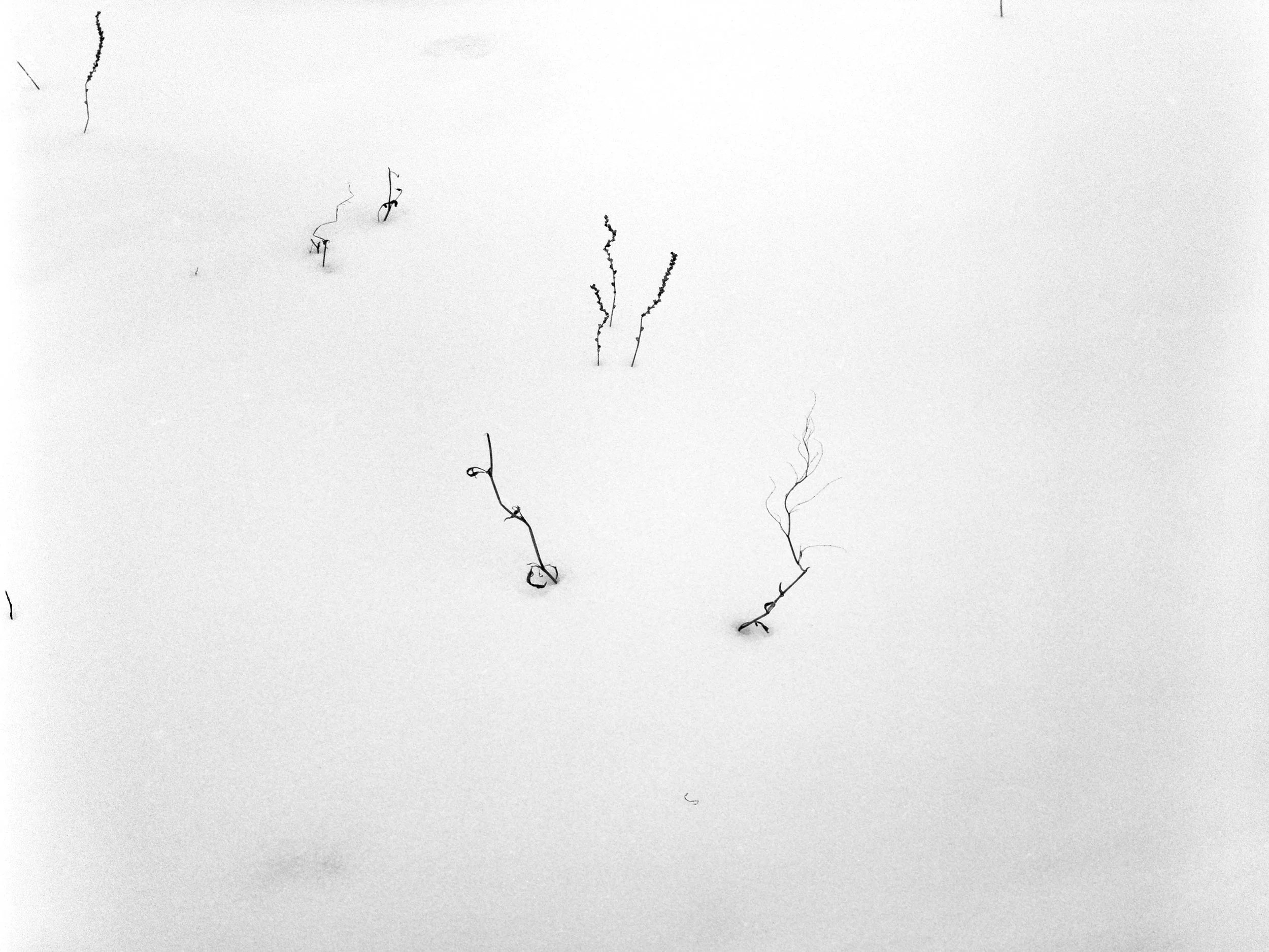 Mother Nature 04.jpg