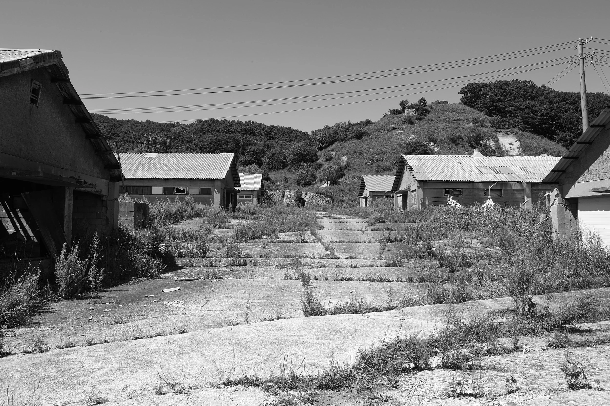 After 30 Years 02.jpg