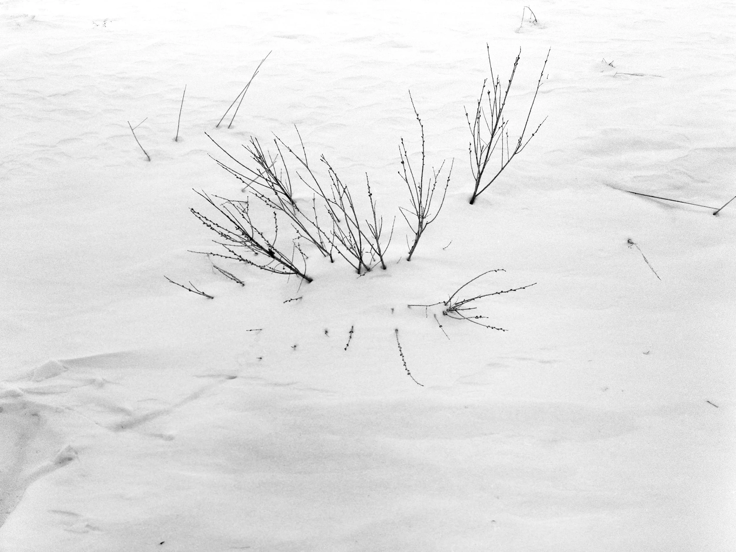 Mother Nature 07.jpg