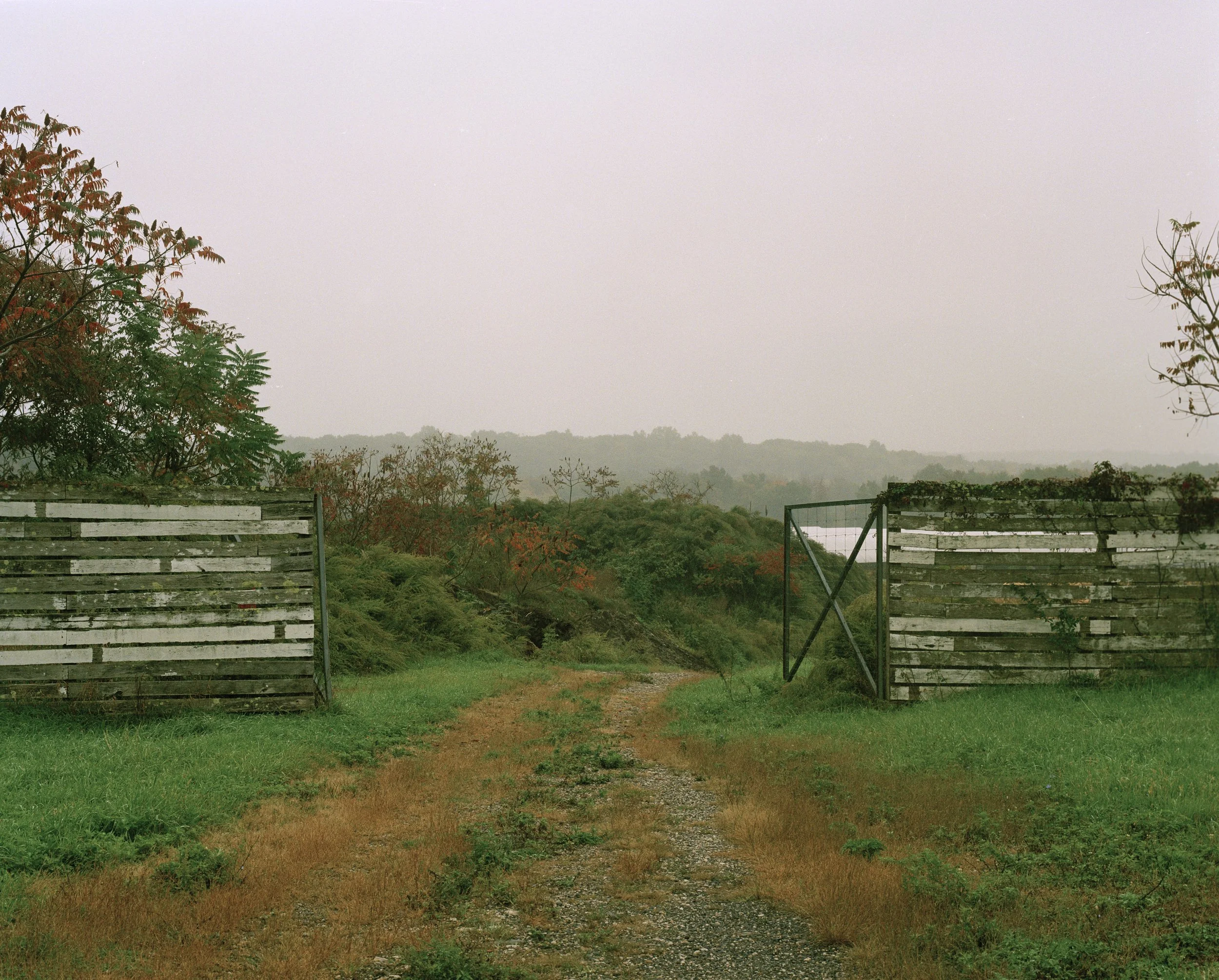 Abandoned buildings portra 800 35.jpg
