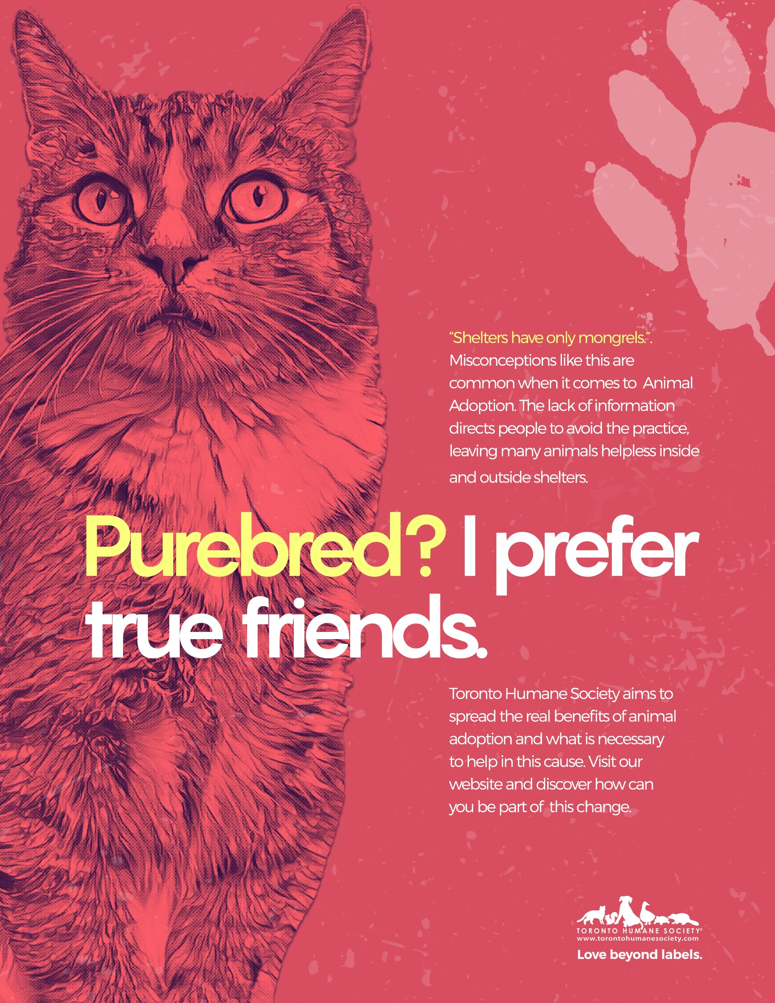 Animal adoption.jpg