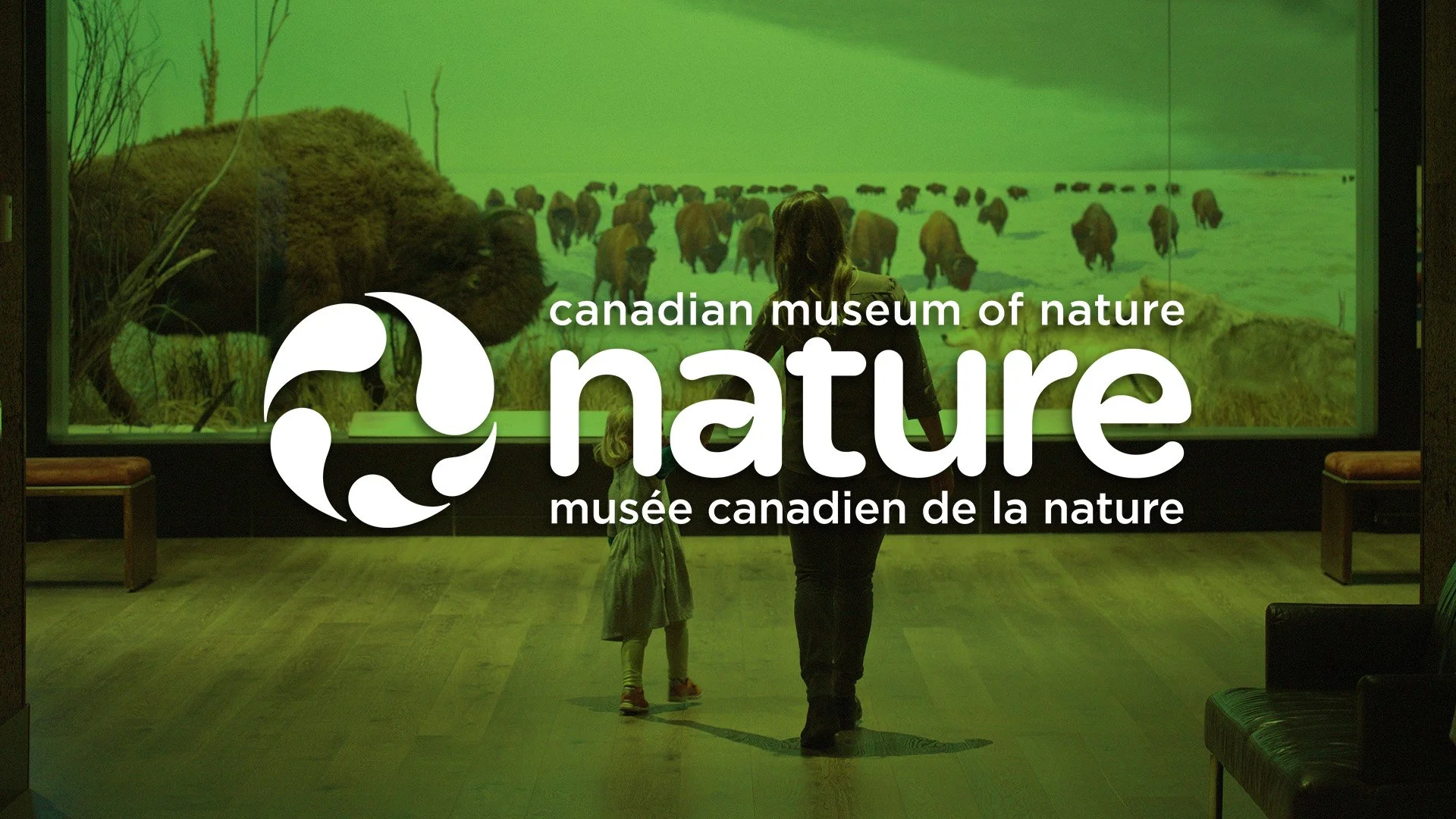 Canadian Museum of Nature