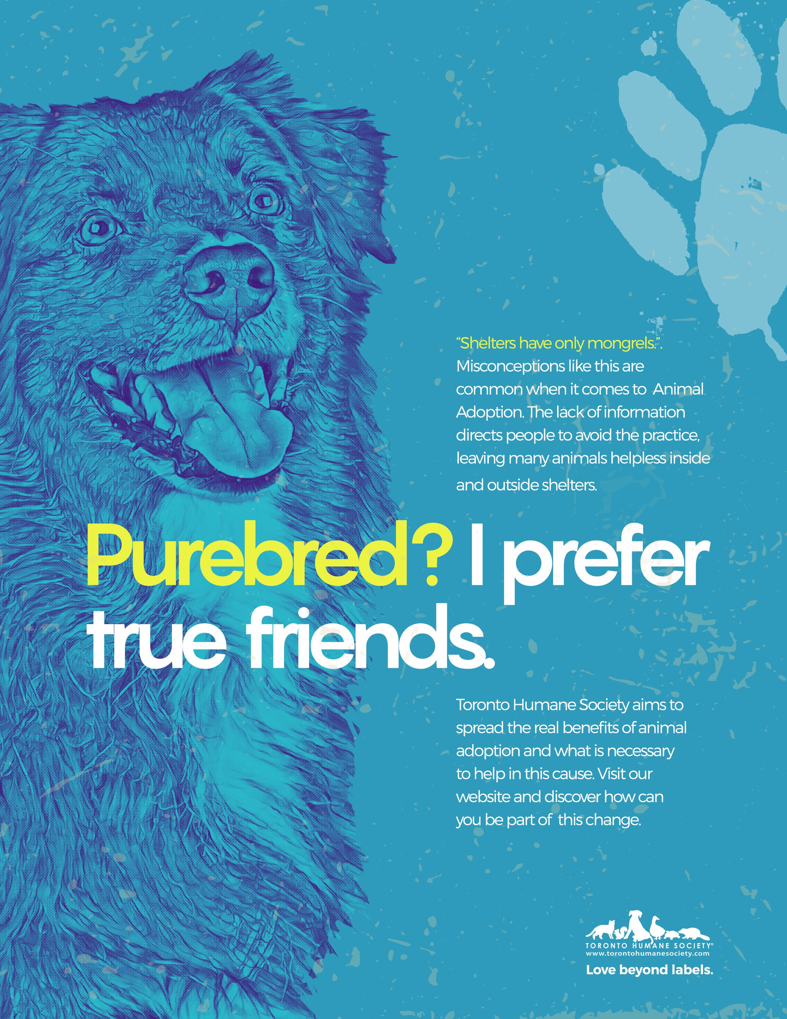 Teste_7_Animal Adoption_.jpg