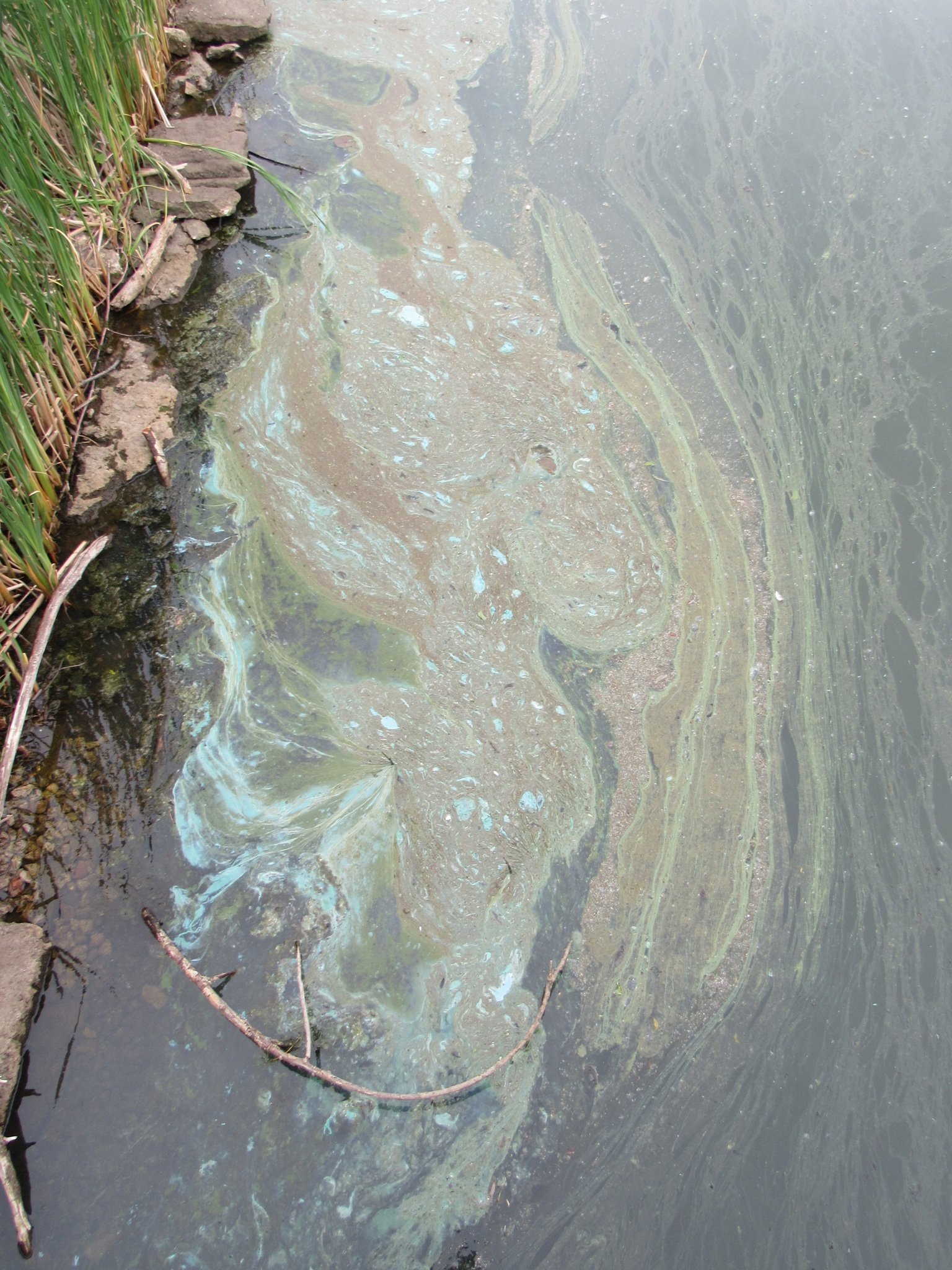 Fast Fact: Green Lakes