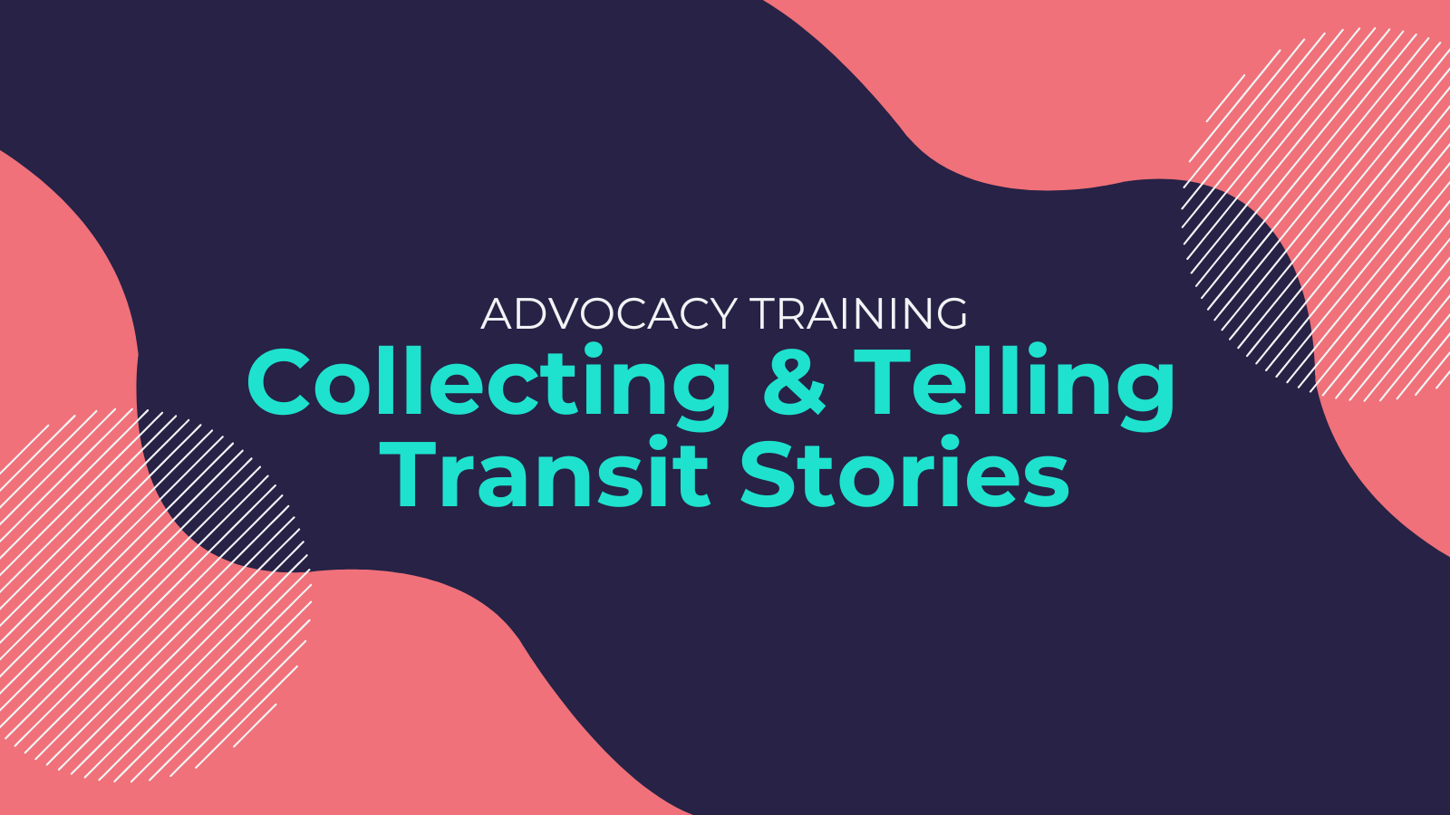 Story Collection (Virtual)