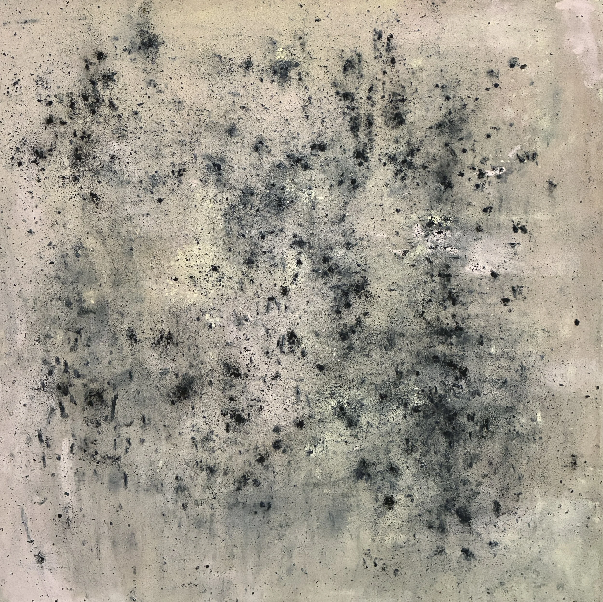 Hologram Pomegranate 80 X 80