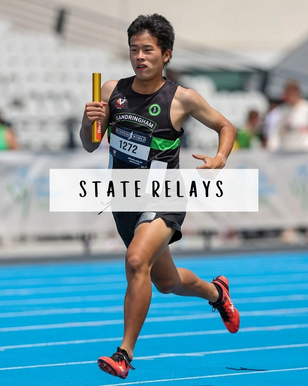 🌟STATE RELAYS - RESULTS🌟

Congratulations to our 25 relay teams who had a red hot crack over the weekend 🔥 such exciting races and we love seeing everyone competing as a team! 

A few fun stats: 
🥇 = 9 
🥈 = 1
🥉 = 2
Top 8 = 9
Club Records = 13 
