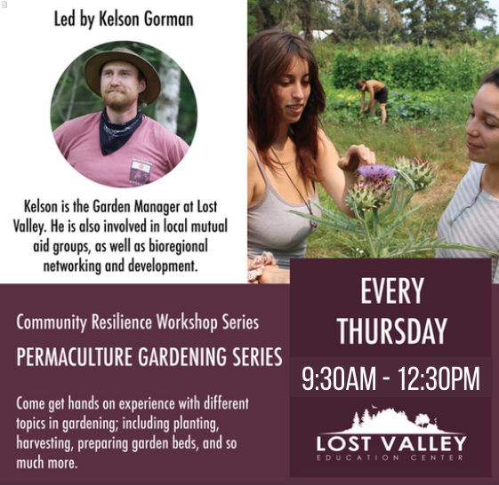 Permaculture Gardening Series