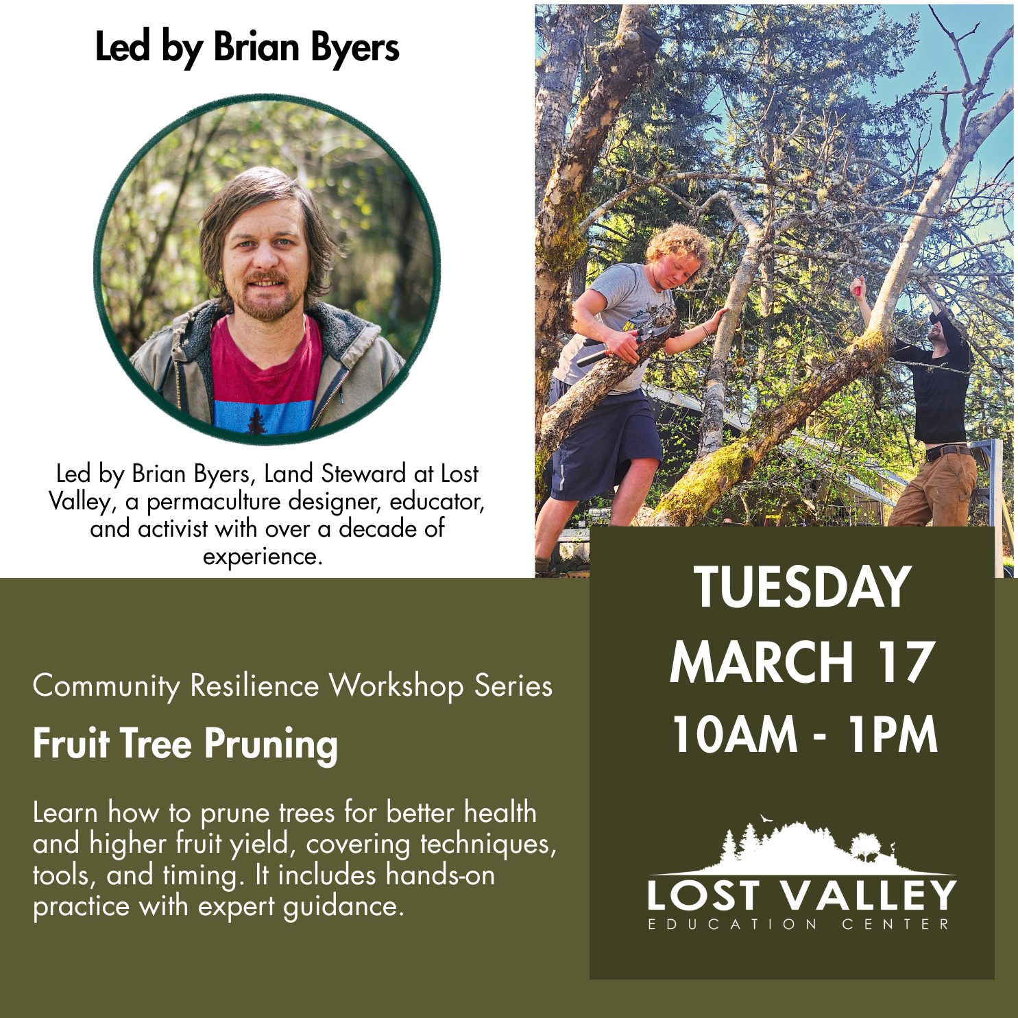 Fruit Tree Pruning Workshop