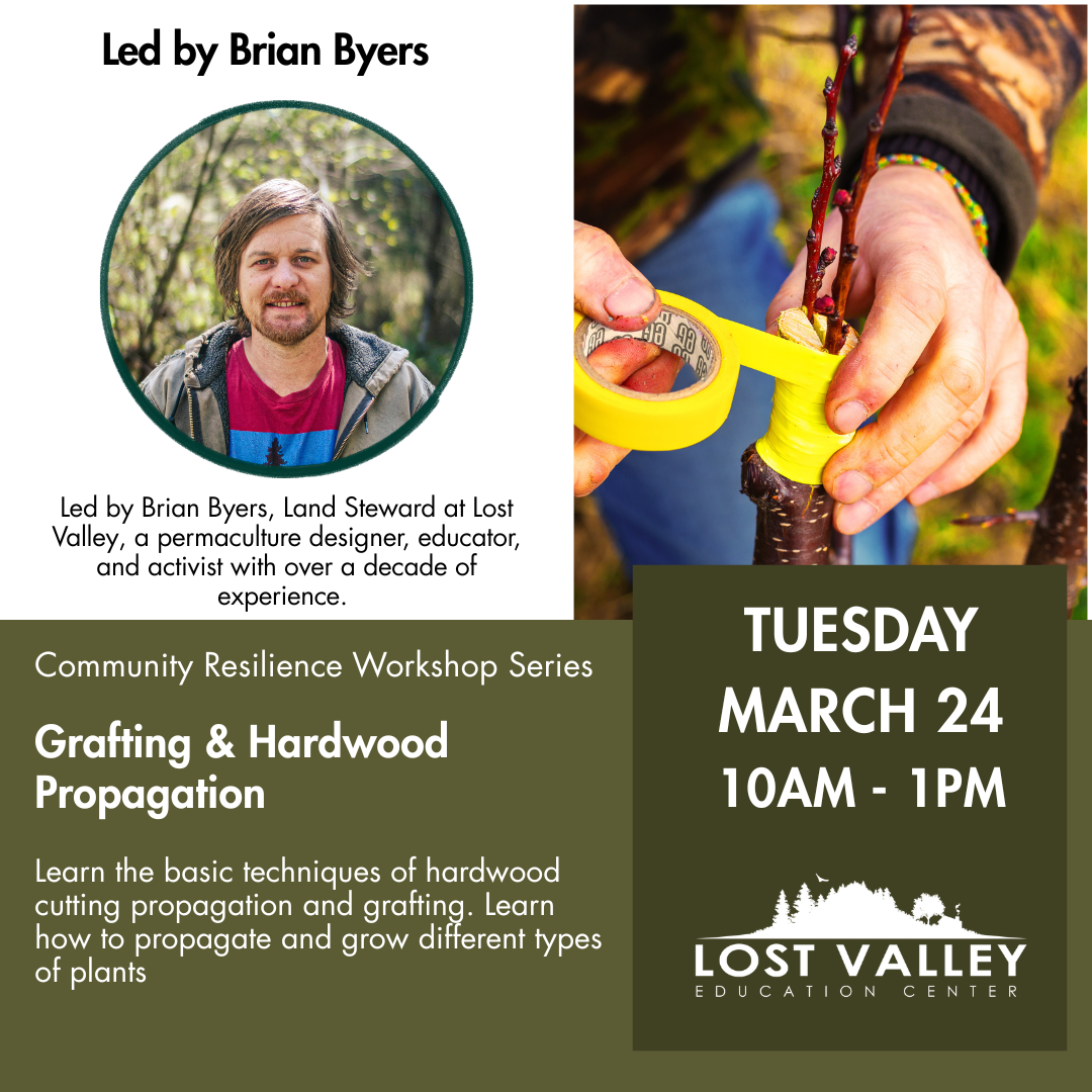 Grafting & Hardwood Propagation