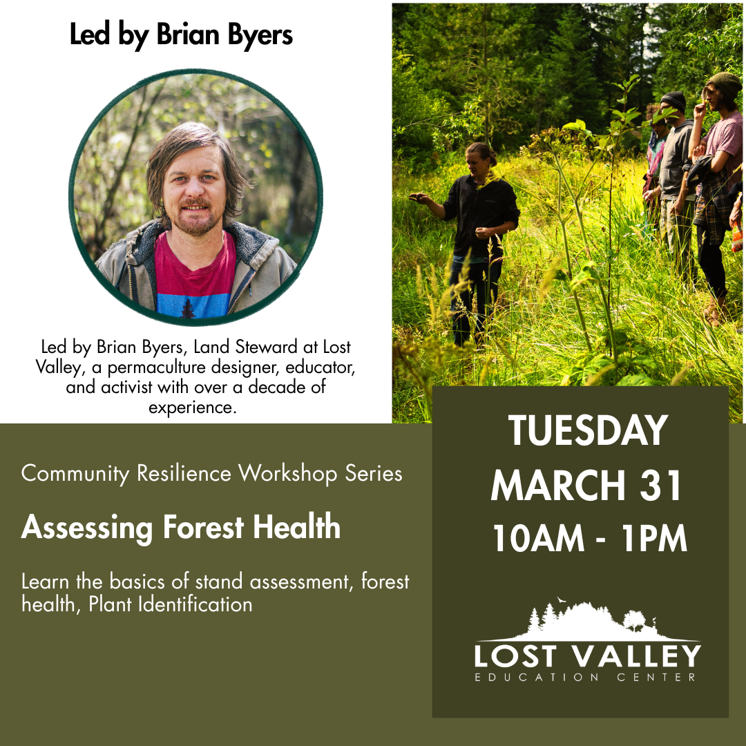 Assessing Forest Health 