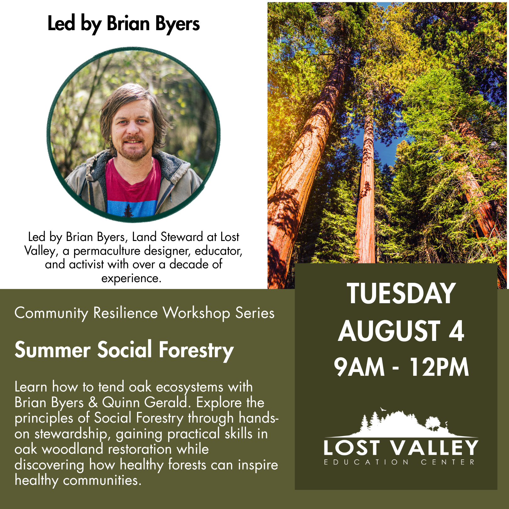 Summer Social Forestry
