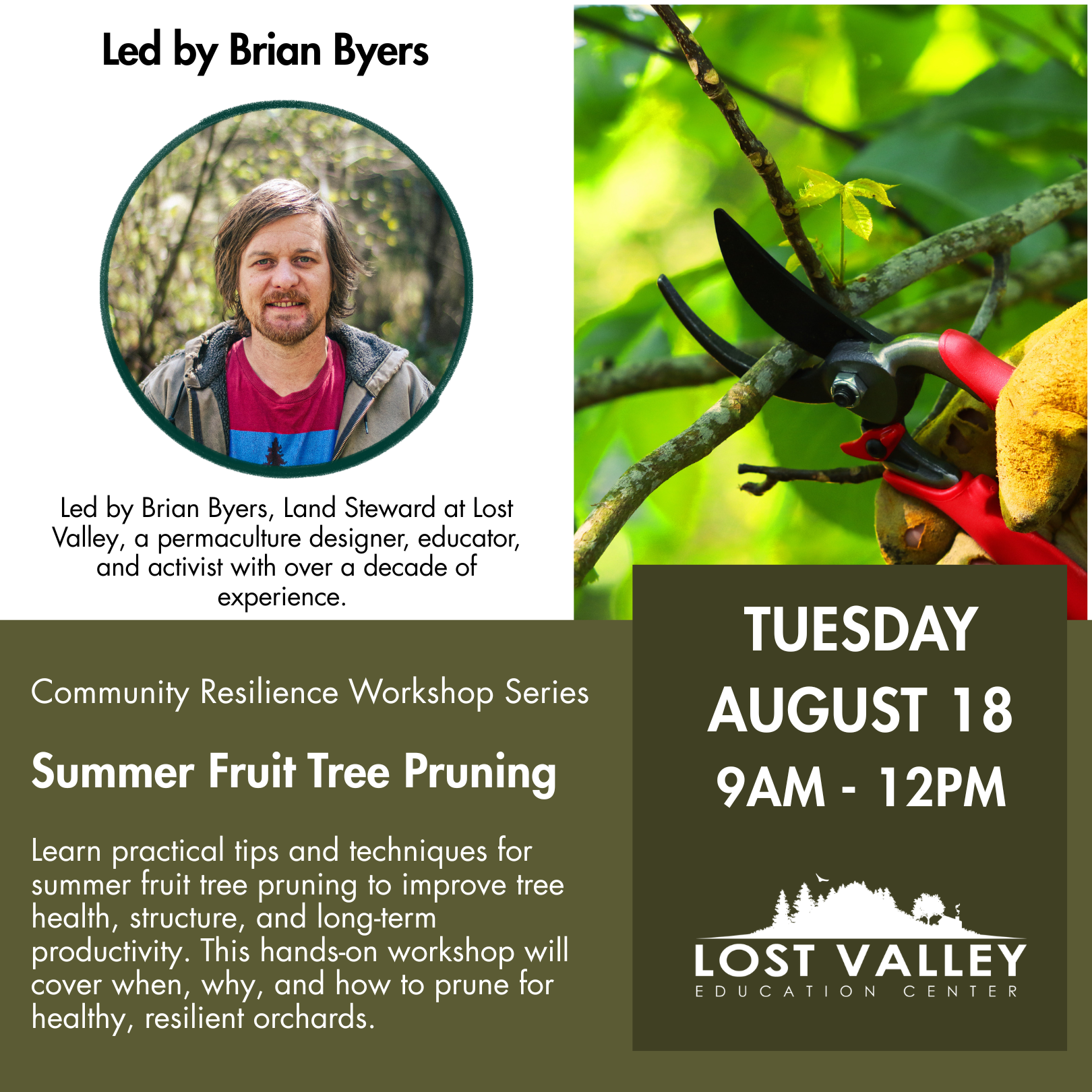 Summer Fruit Tree Pruning