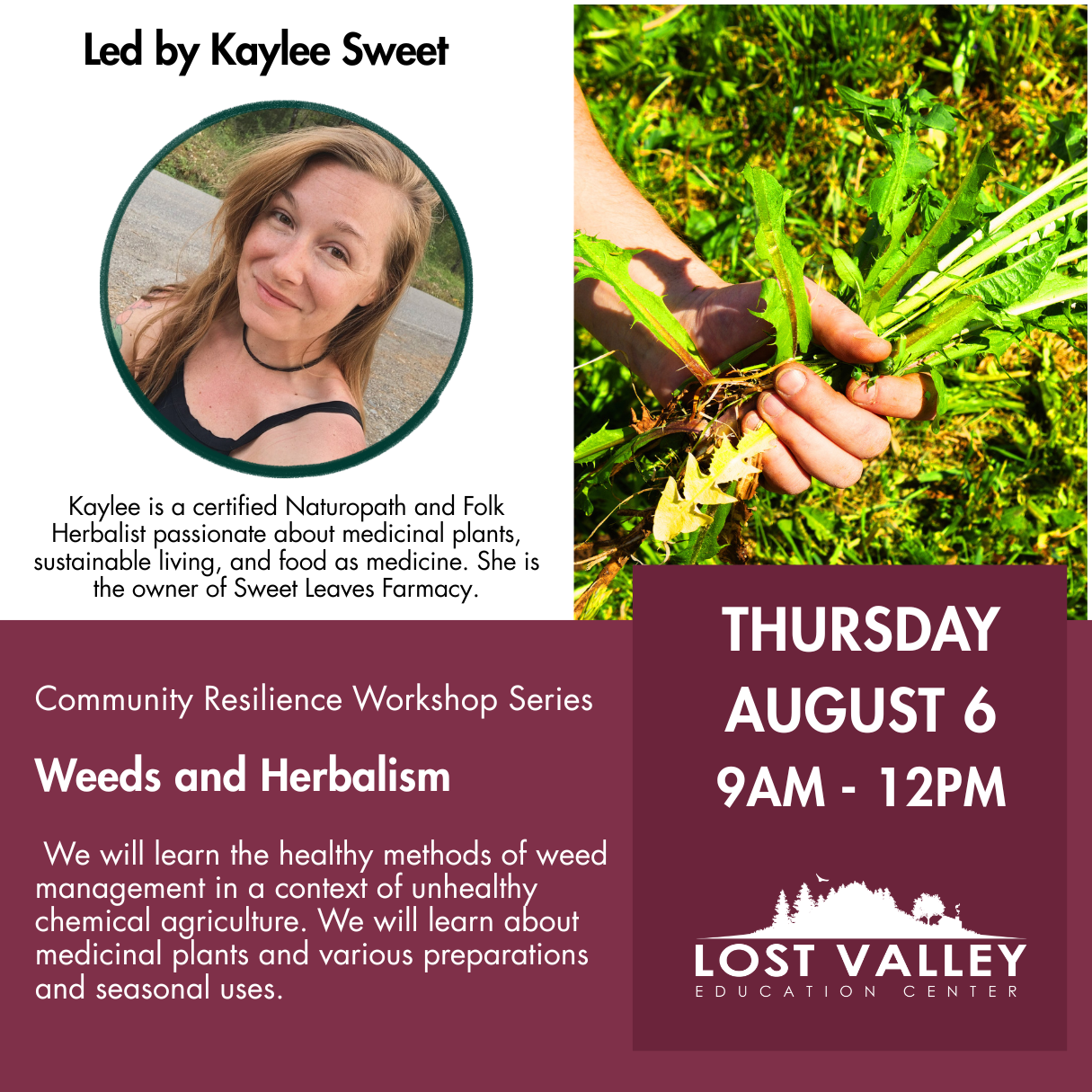 Weeds and Herbalism