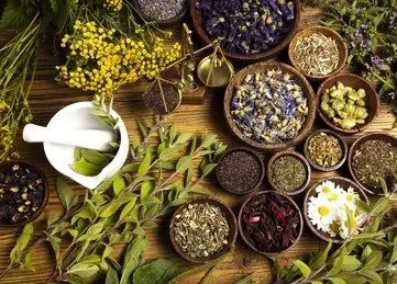 natural medicine herbs image.jpg